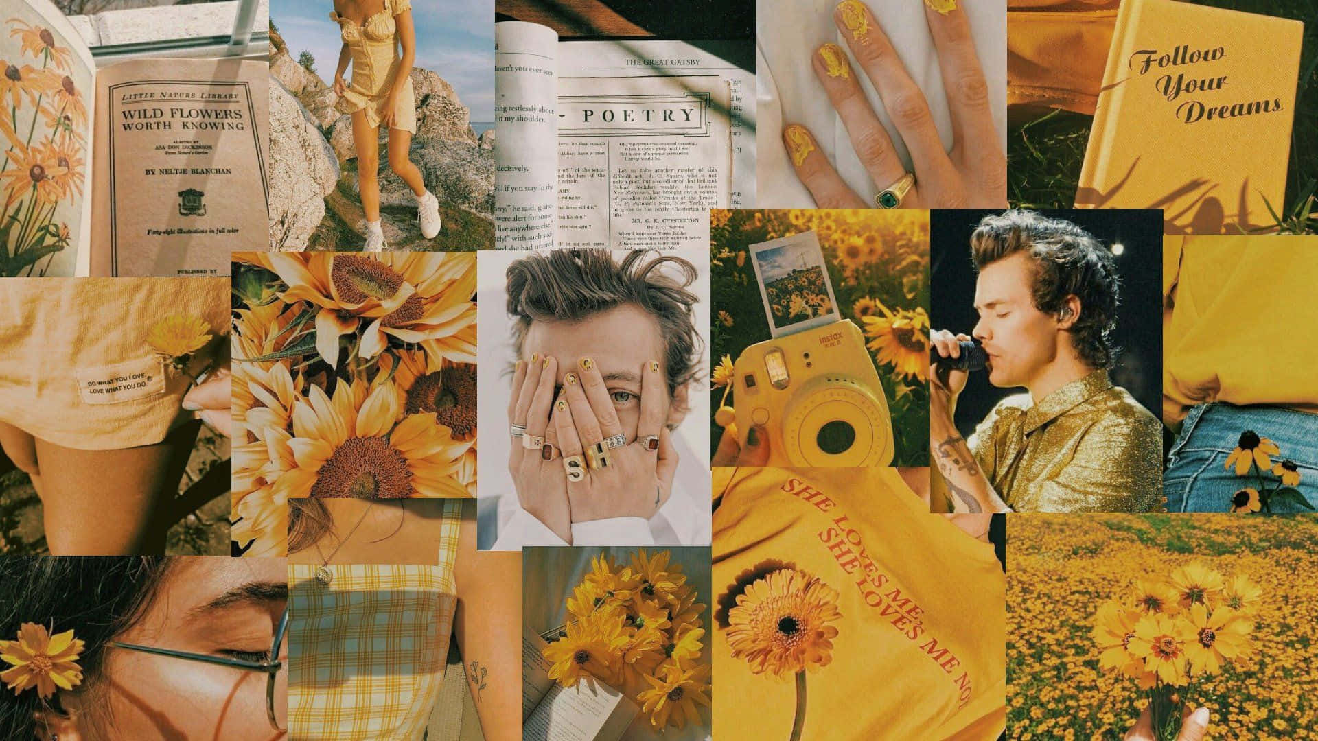 Harry Styles Aesthetic Wallpaper