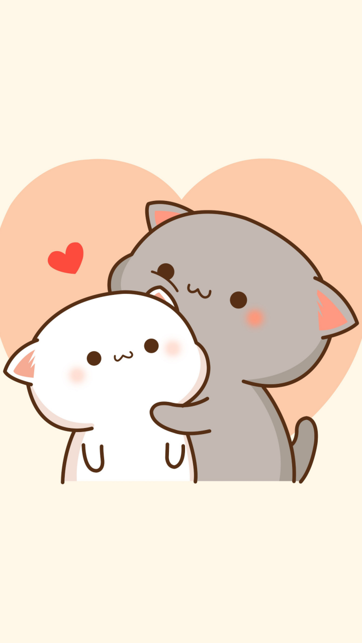 Peach cat Wallpaper 4K, Goma cat, Kitty couple