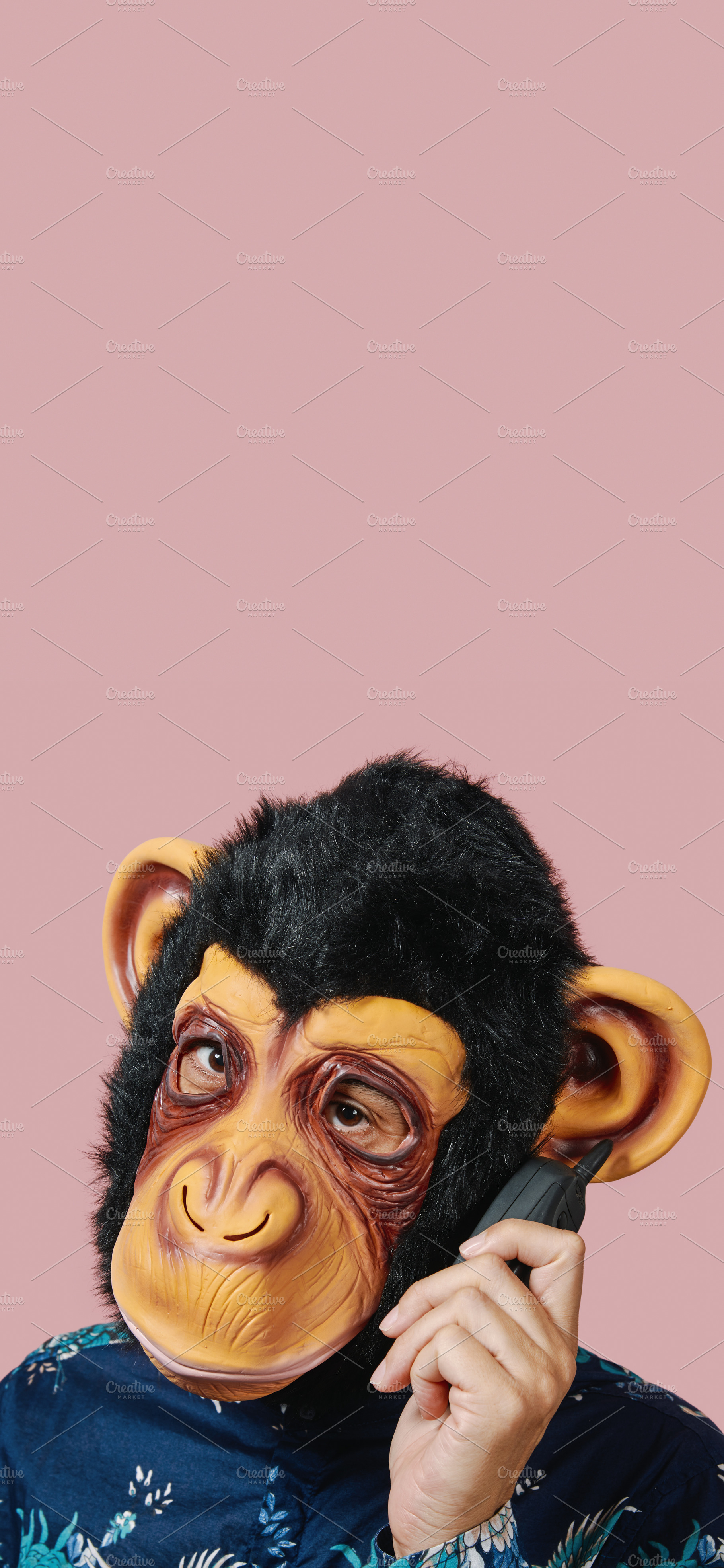 monkey speaks in a mobile phone, stories format, a Wallpaper Photo