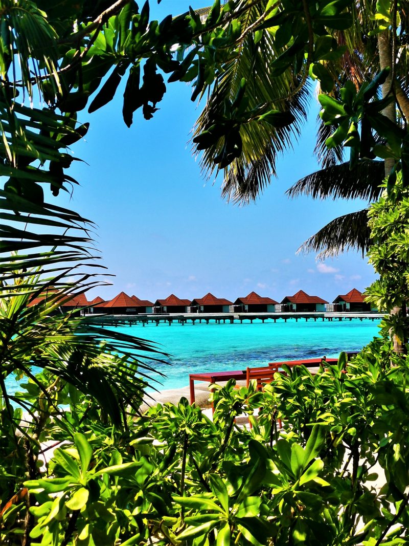 Maldives Archives Is Tara?