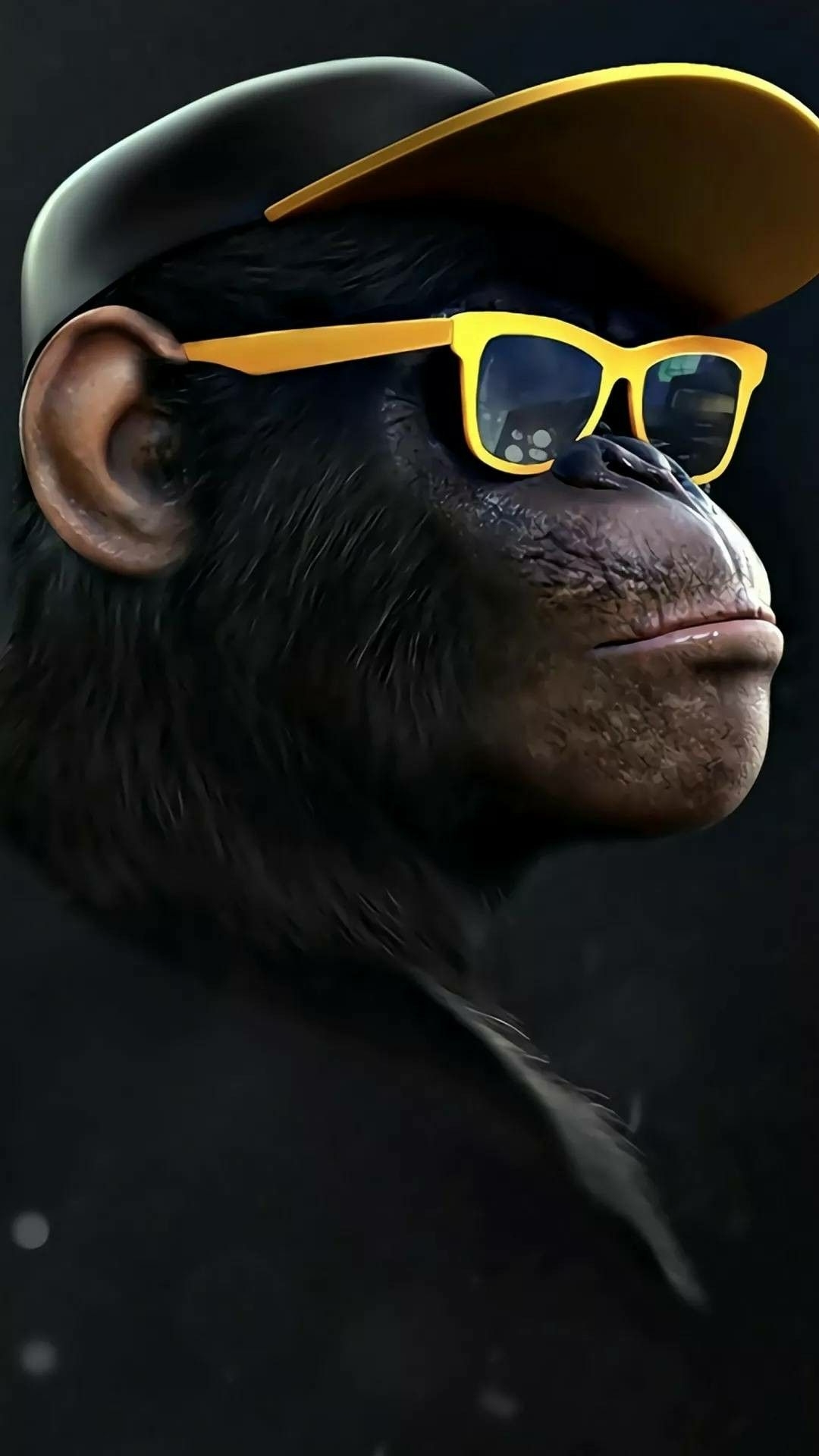 Best Gorilla 4k Wallpaper [ Ultra 4k ]