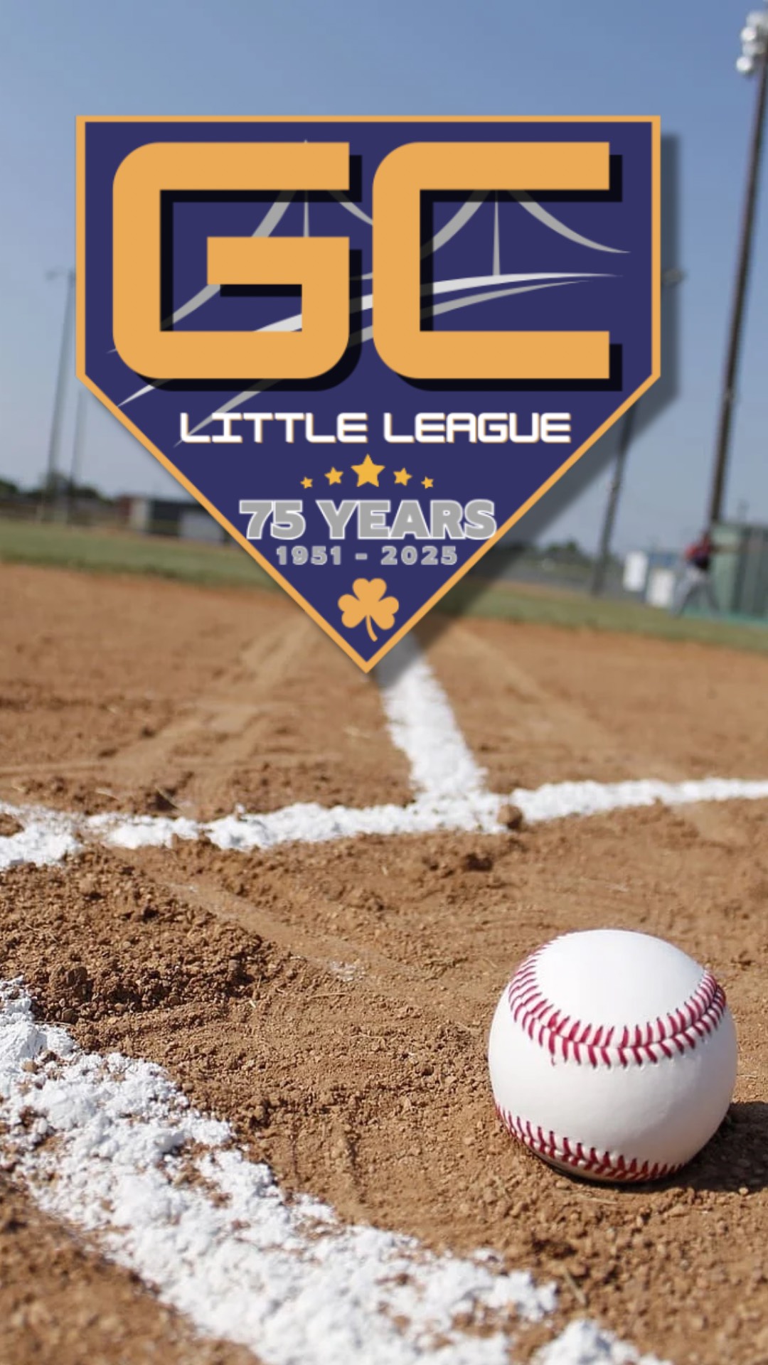 Mobile Phone Wallpaper