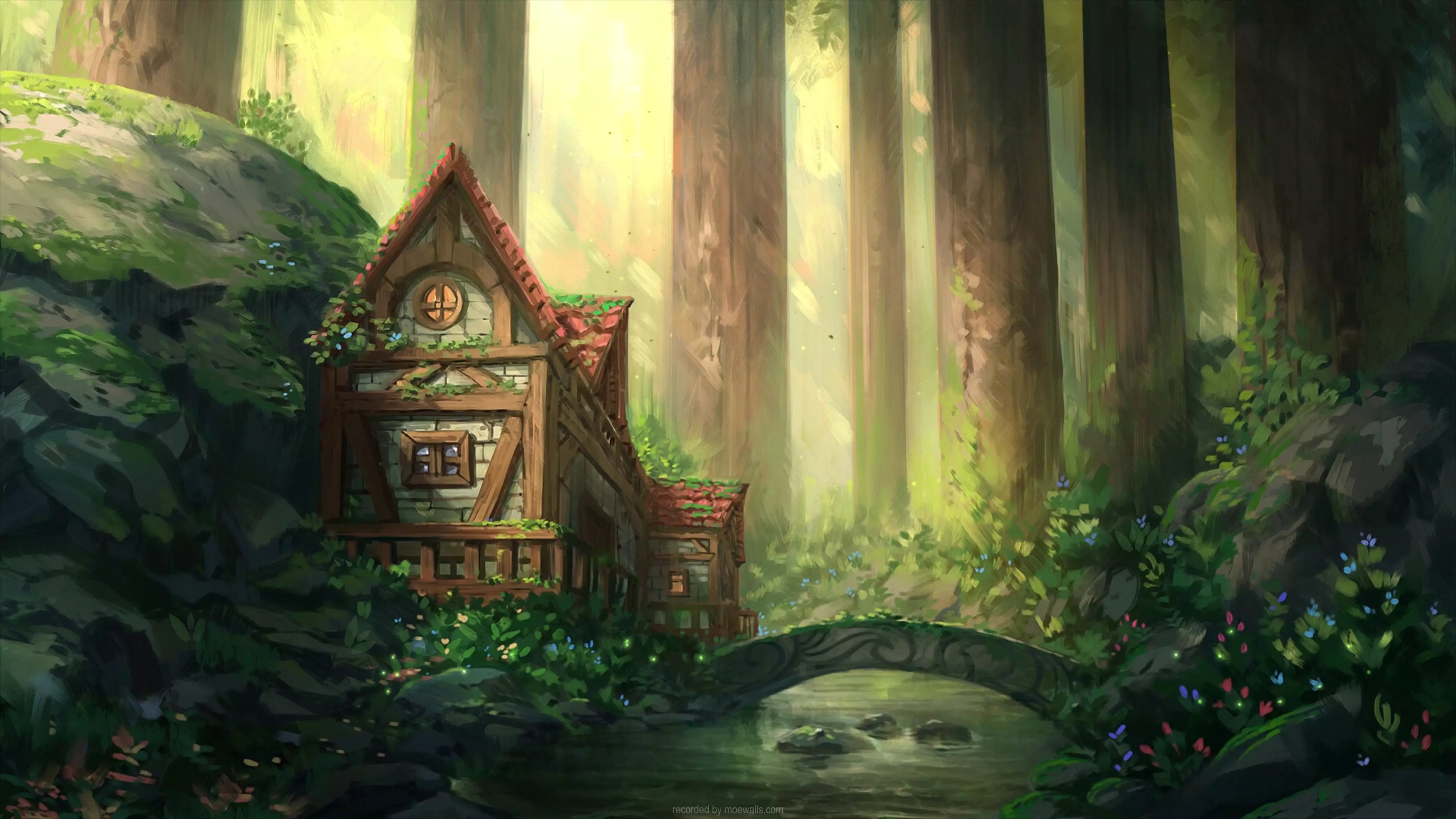 Video Wallpaper Cozy Little Place Forest (Illustrations)x2160 UHD 1
