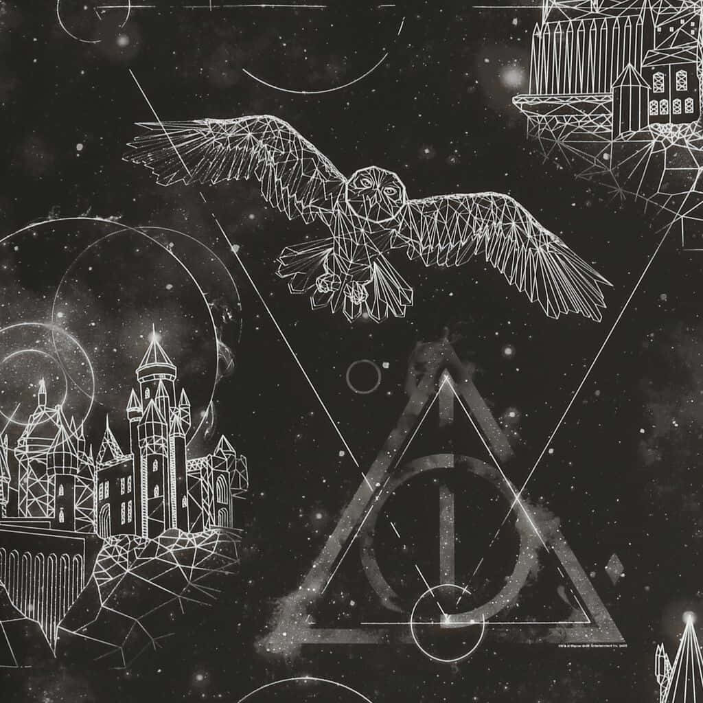 Download The magical world of Harry Potter in black and white Wallpaper