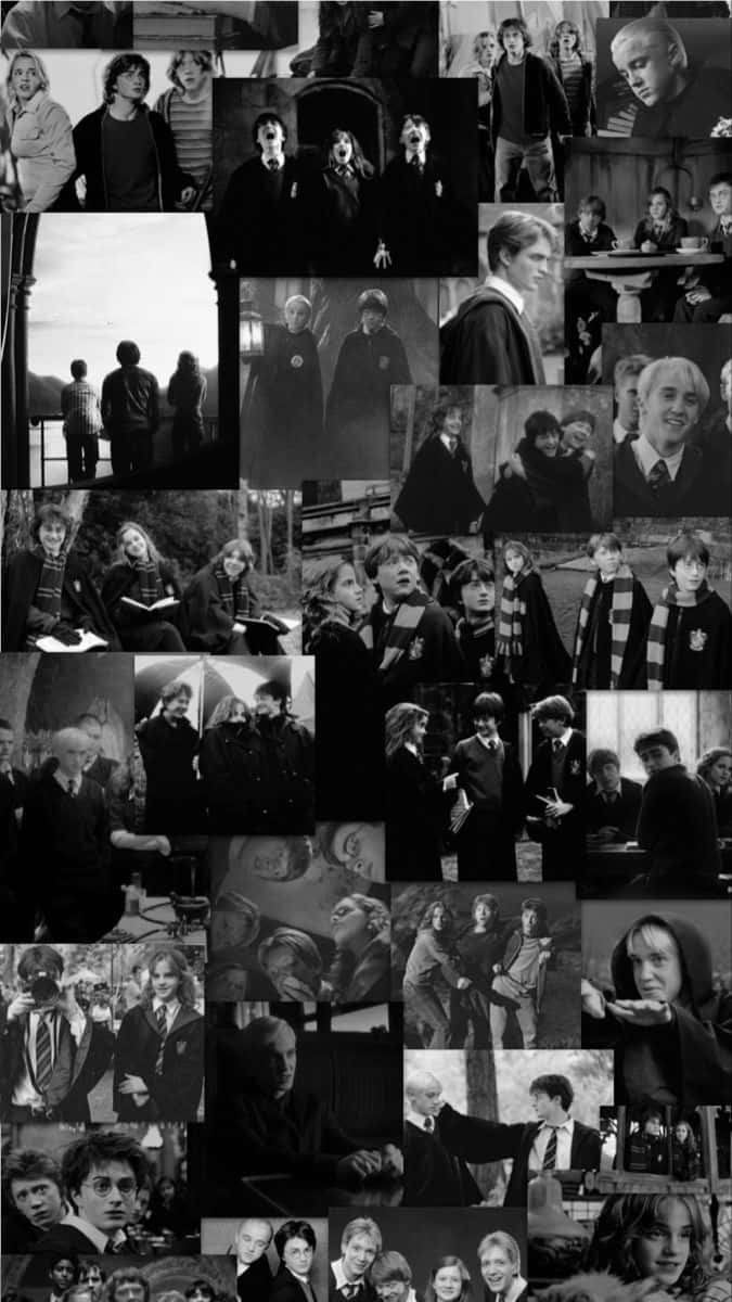 Download Harry Potter ventures on a magical adventure in this black and white illustration Wallpaper