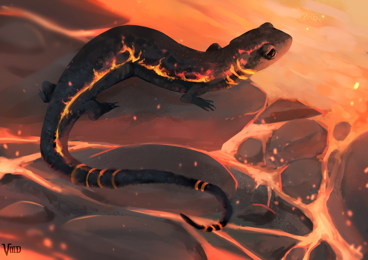 Fire salamander Voidsoup ART street