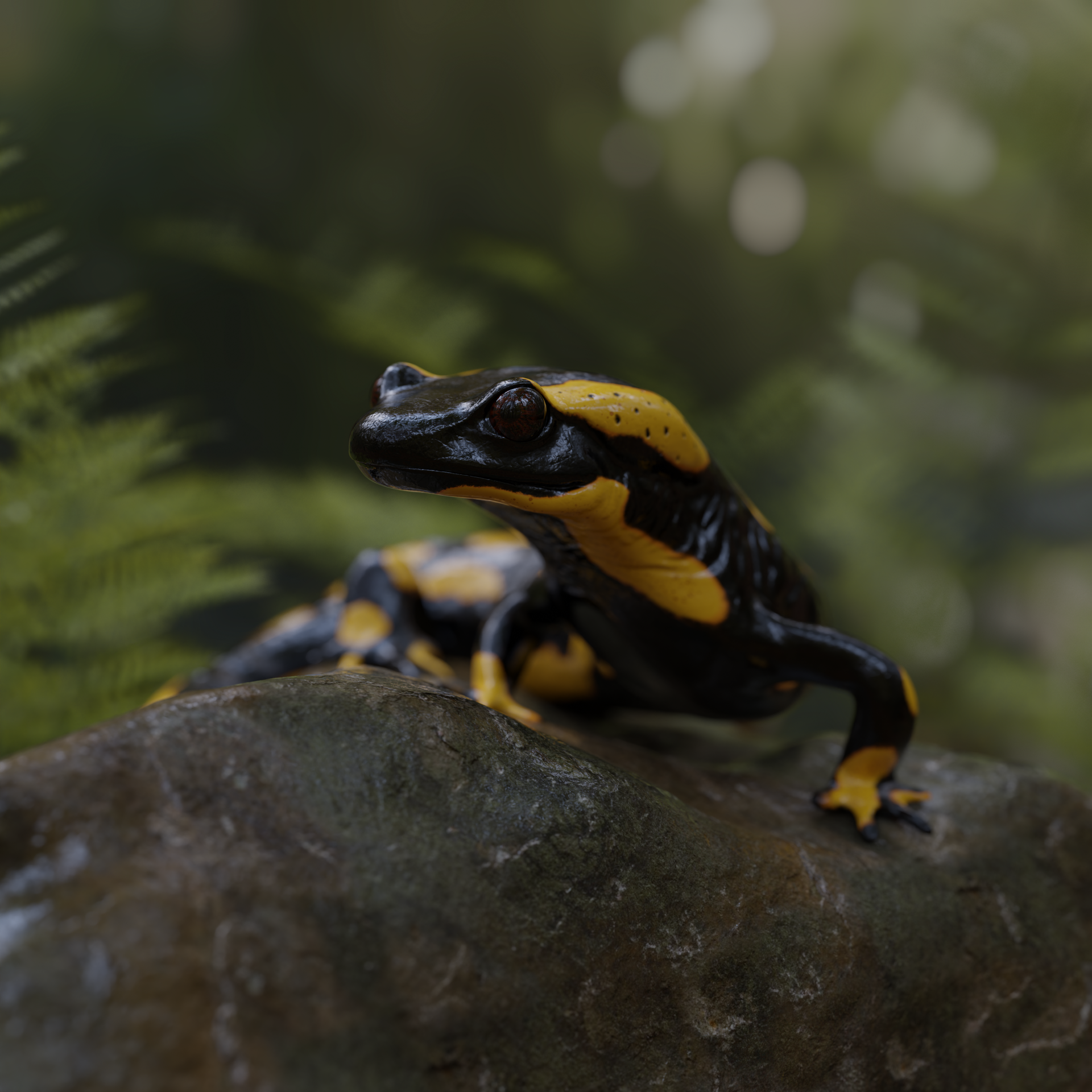 Fire salamander Projects Artists Community