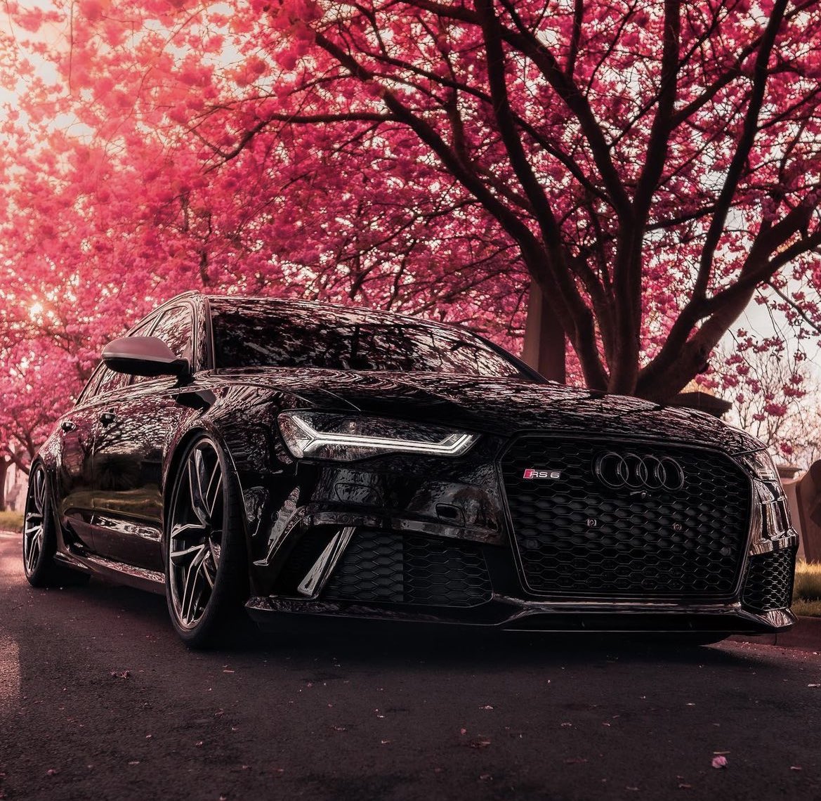 LUX Cars RS6