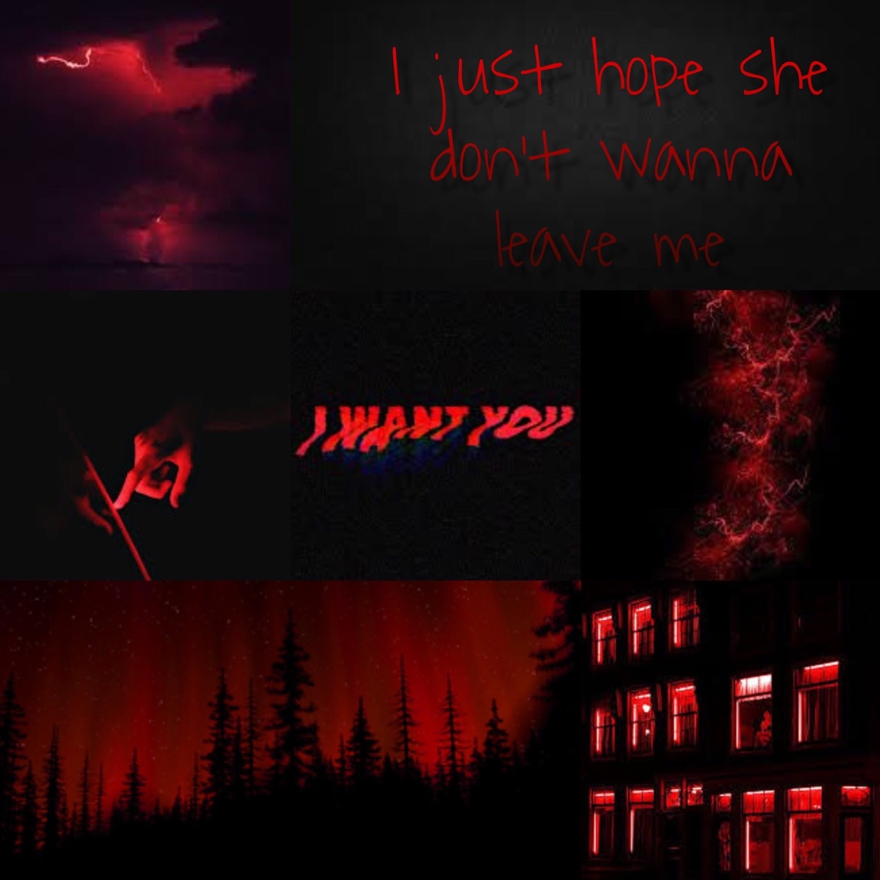 The Aesthetic of a Thorn