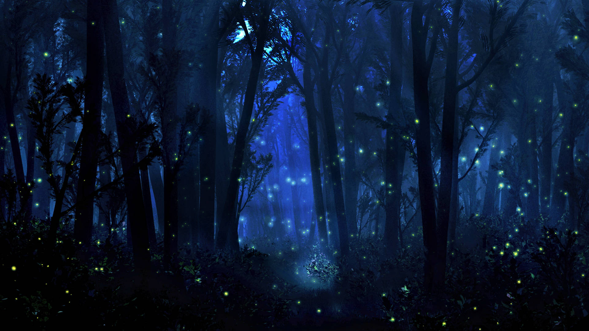 explore The Magical Beauty Of Mystical Forest Wallpaper