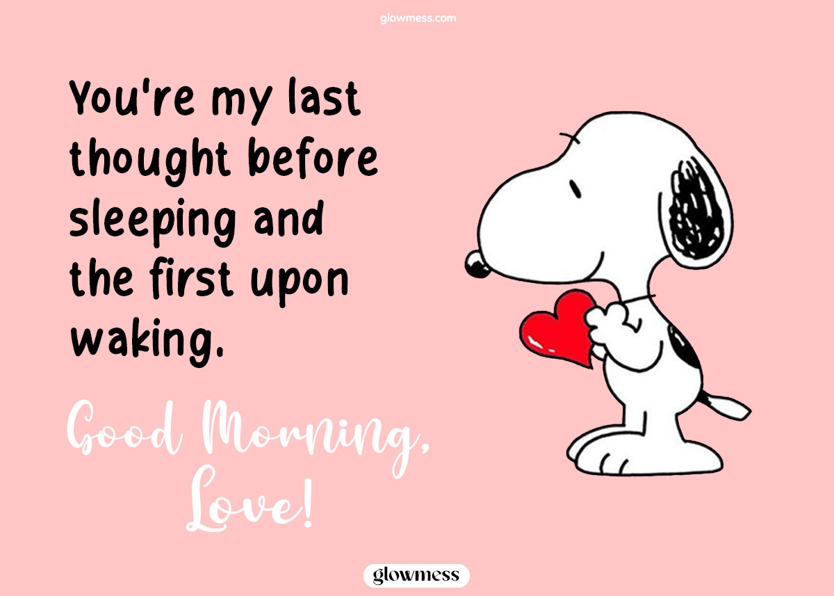 GOOD MORNING MY LOVE ❤️ Image, Quotes & Messages