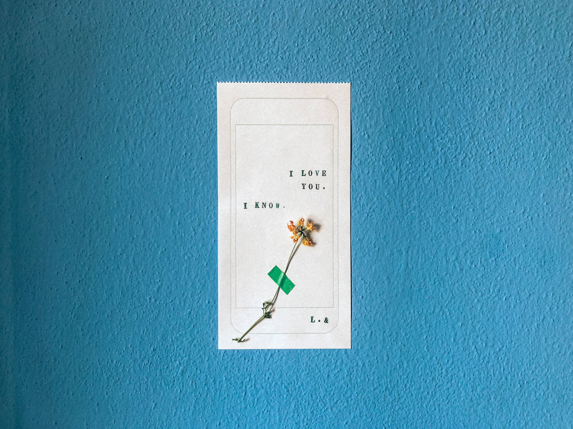 Download Love Wallpaper