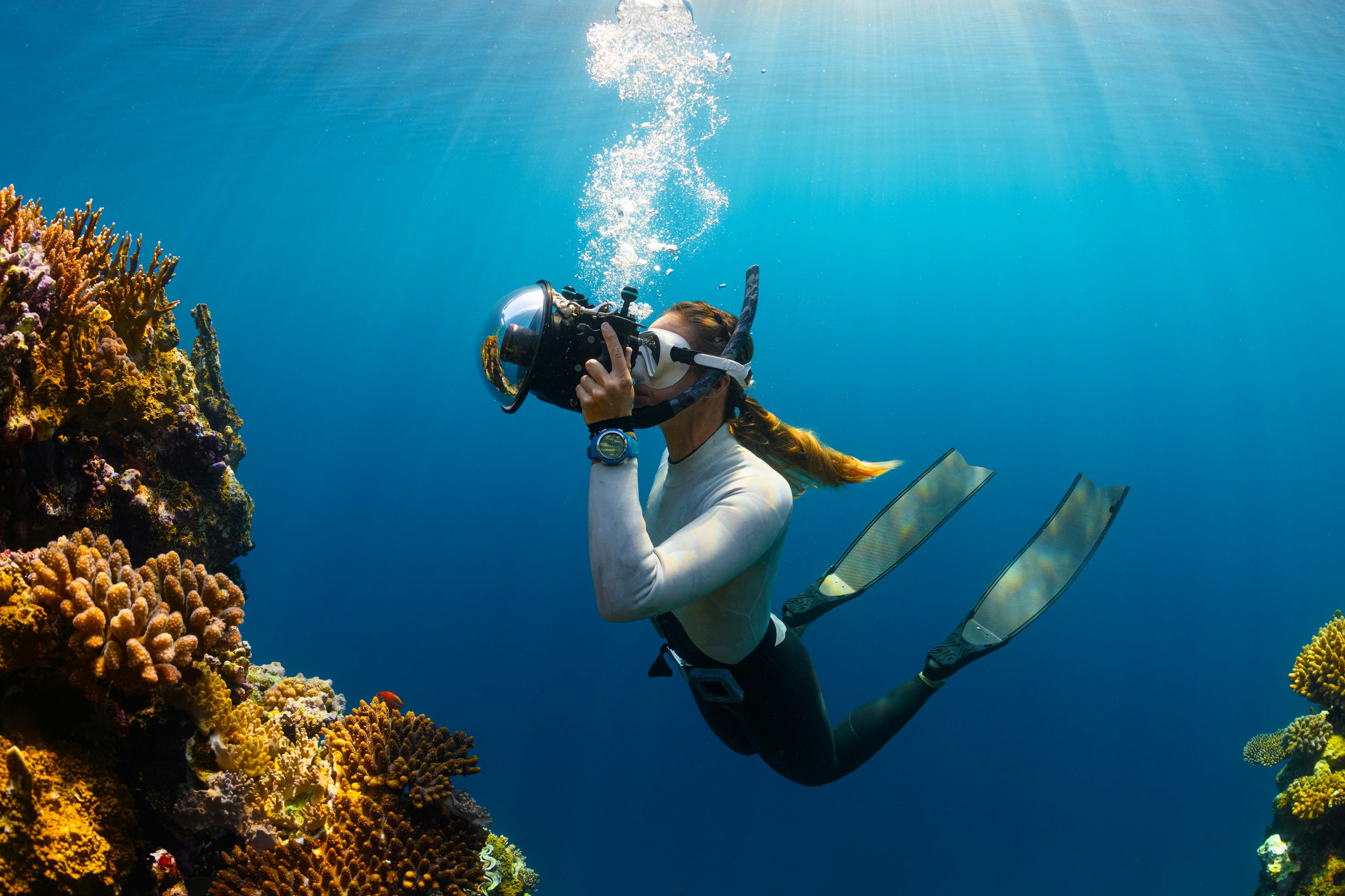 Scuba Diving Picture [HD]. Download Free Image