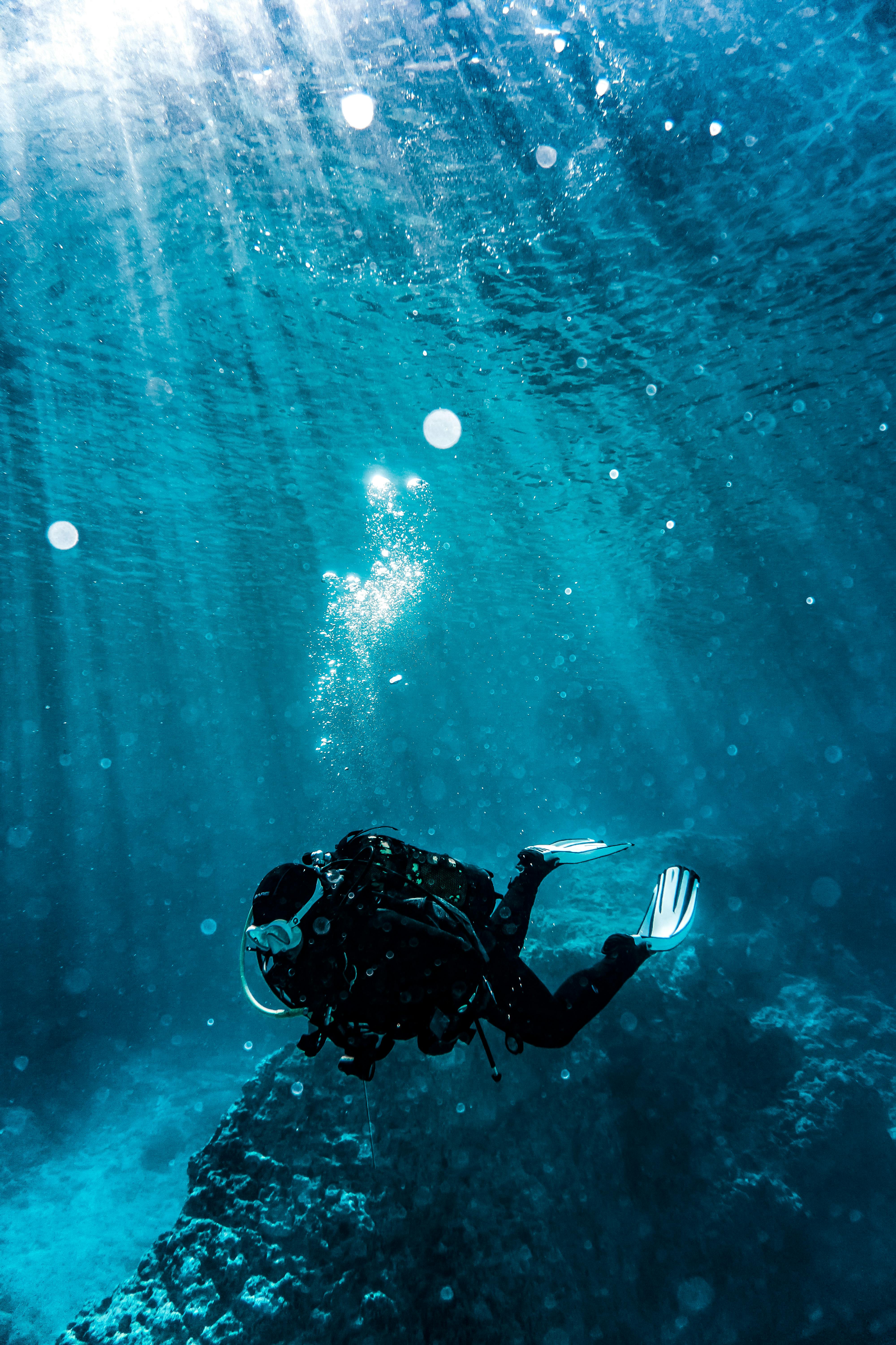Scuba Diving Photo, Download The BEST Free Scuba Diving & HD Image