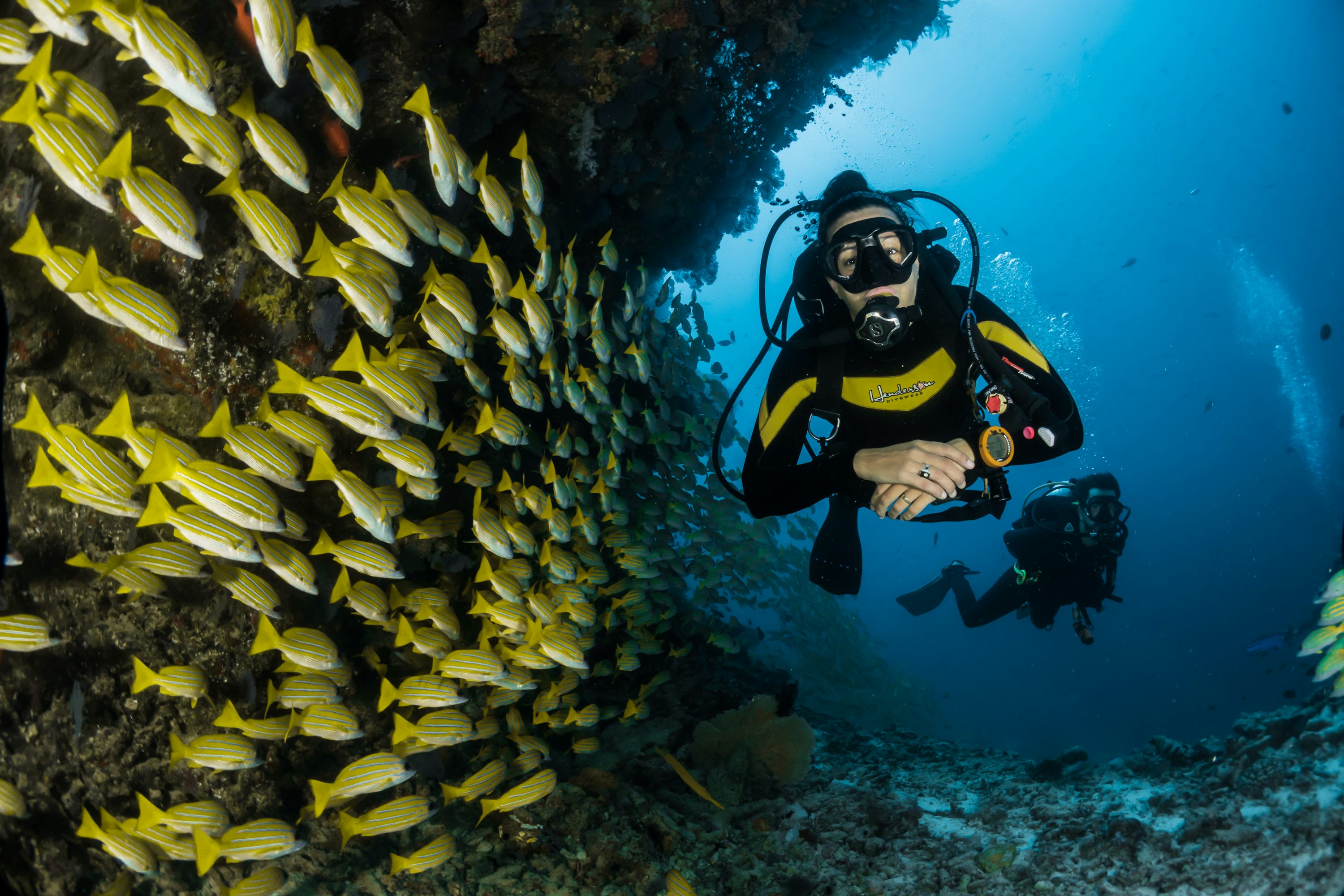Scuba Diving Picture [HD]. Download Free Image