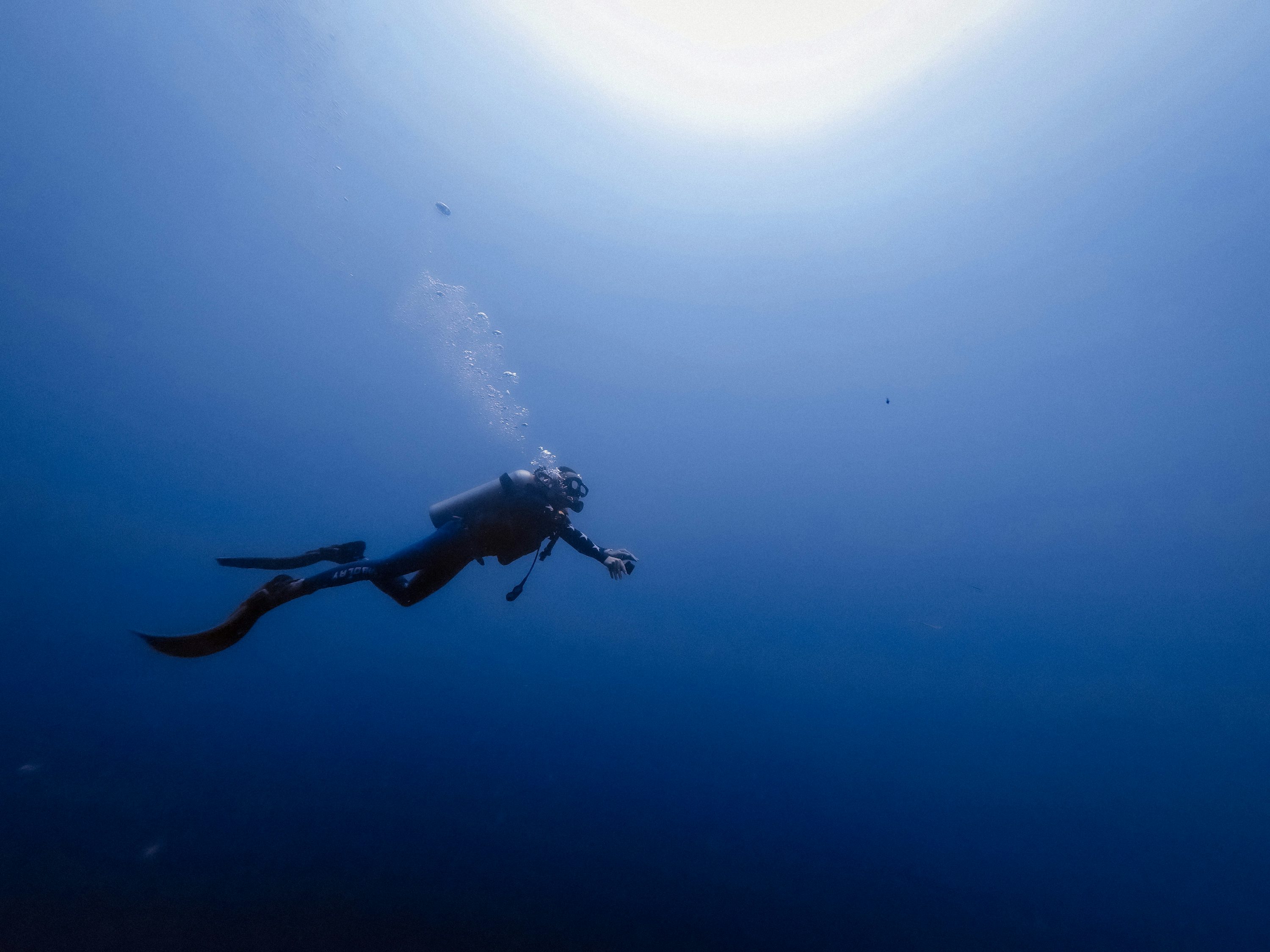 Scuba Diving Picture [HD]. Download Free Image