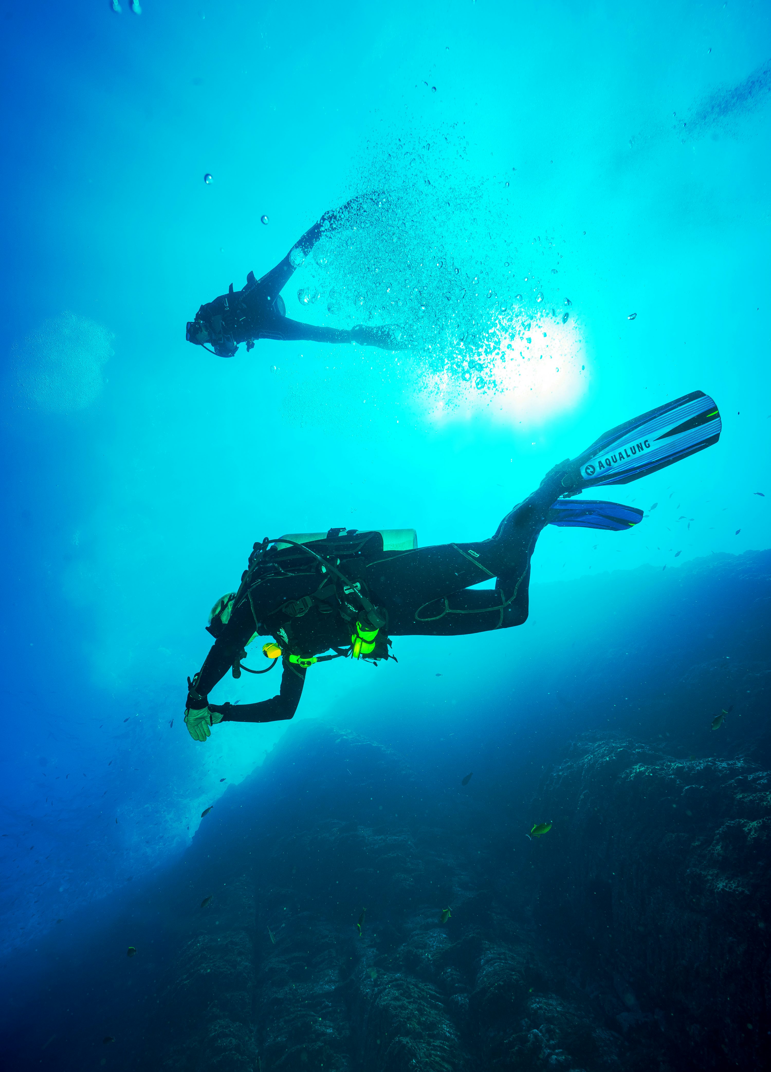 Scuba Diving Picture [HD]. Download Free Image