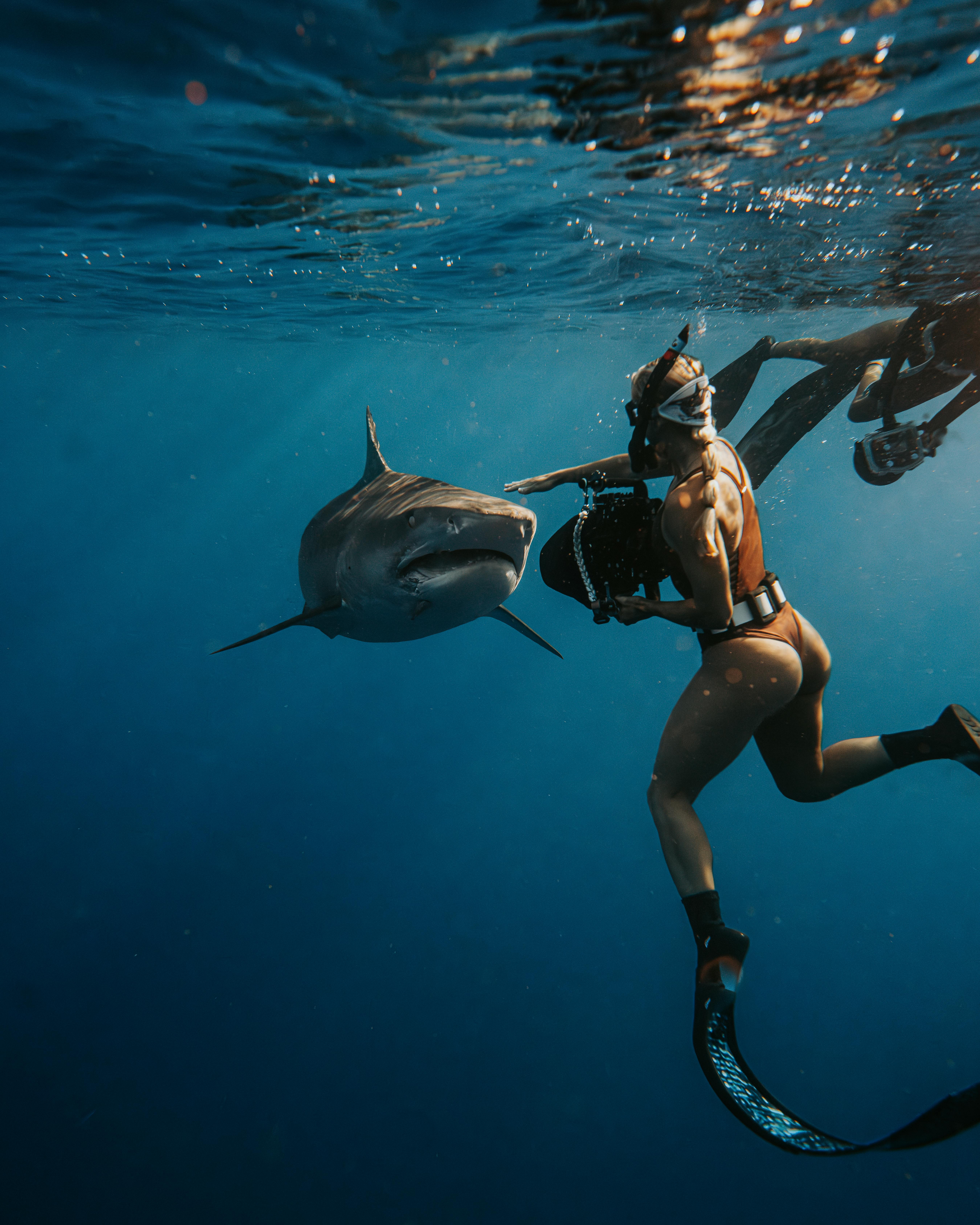Woman Scuba Diving with Fish · Free