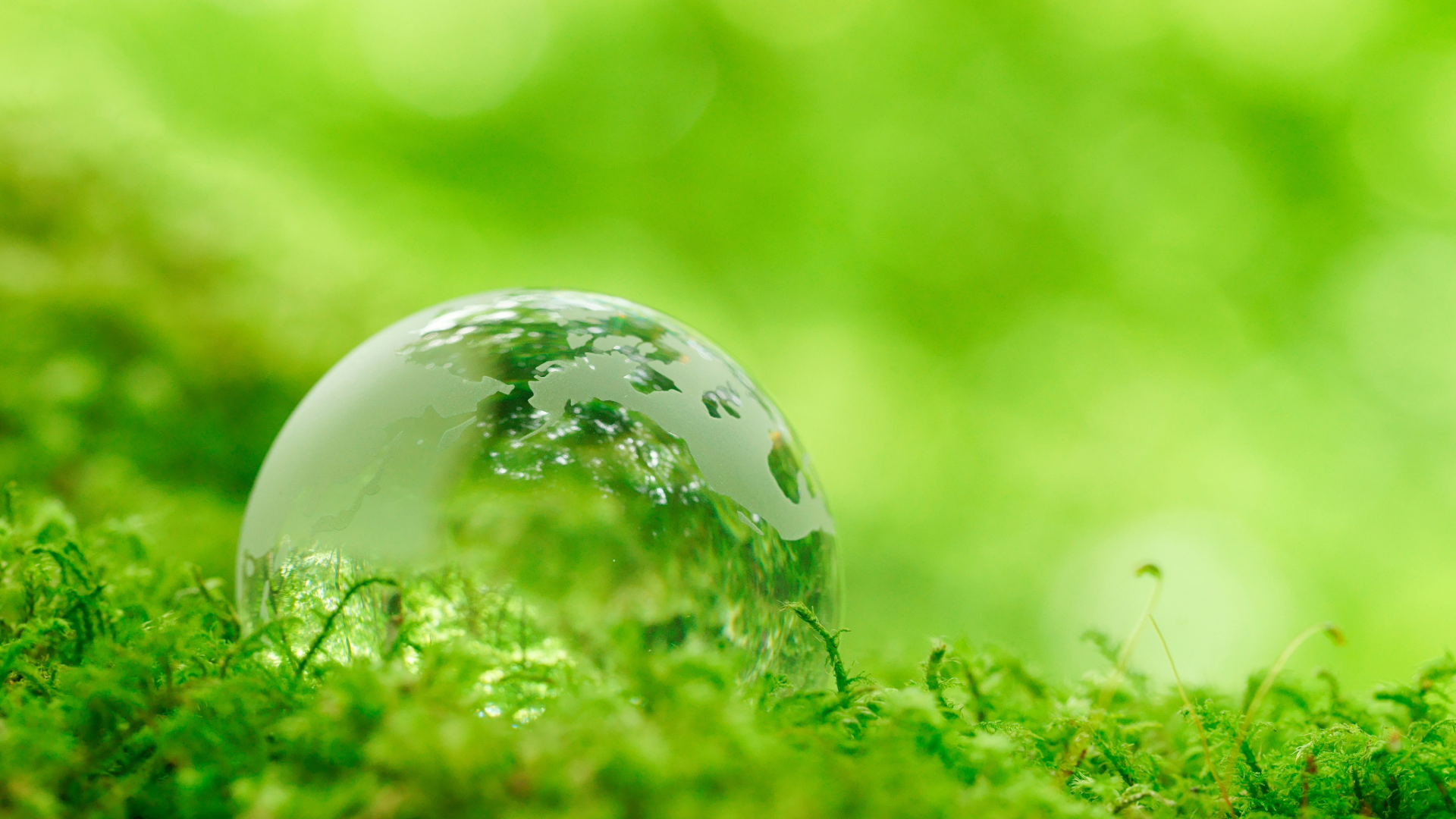 I (attempted) to make some Frutiger Eco Wallpaper!!