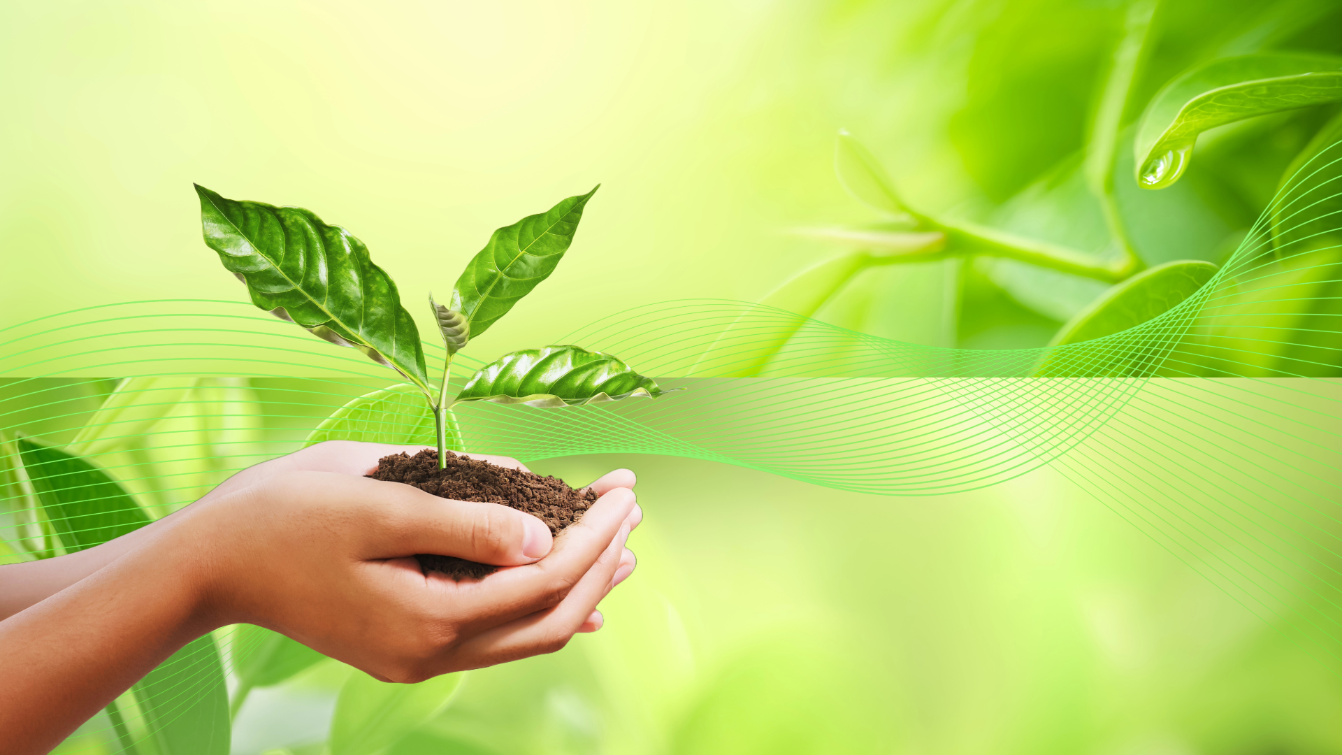 I (attempted) to make some Frutiger Eco Wallpaper!!