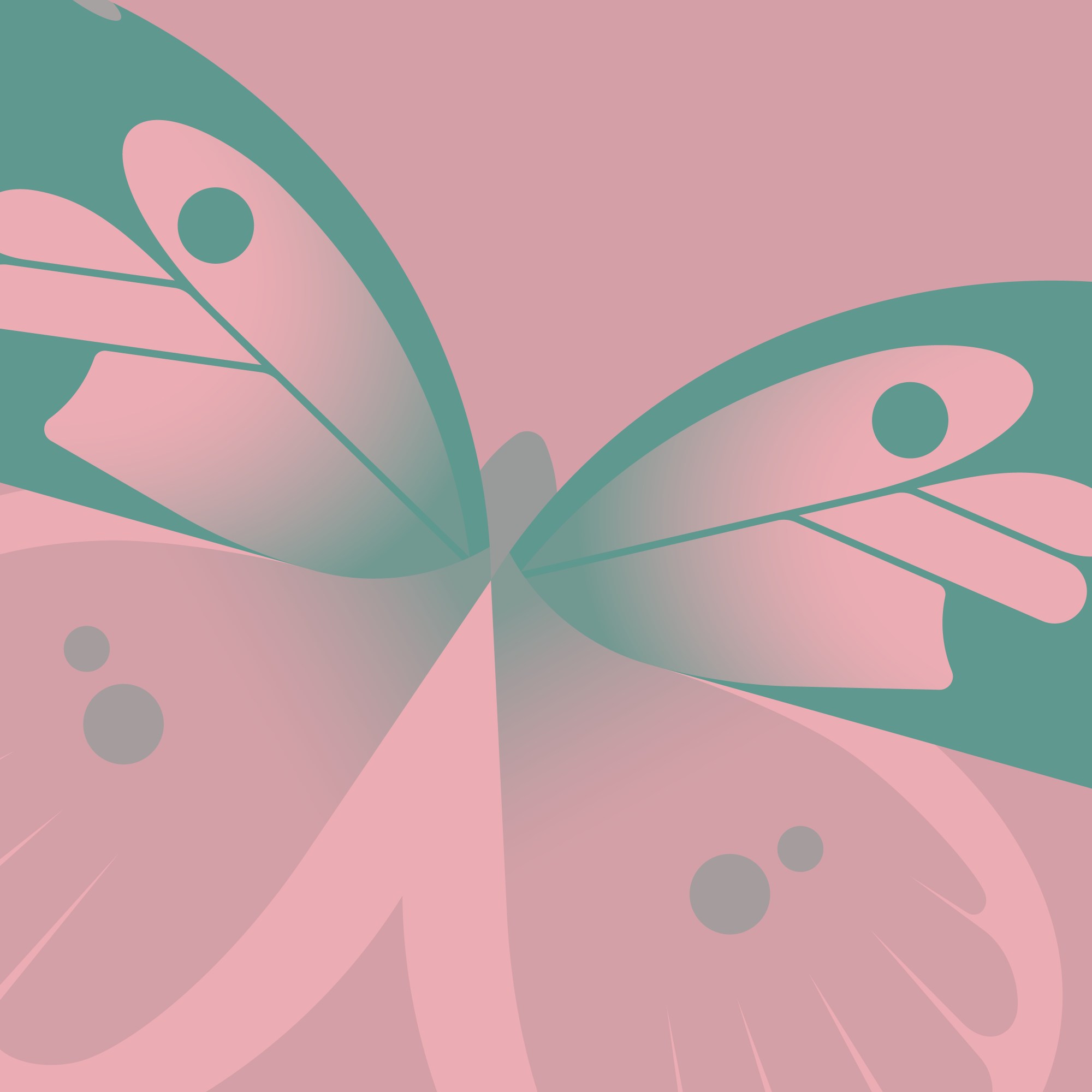 How Safari 14 start screen with wallpaper on macOS