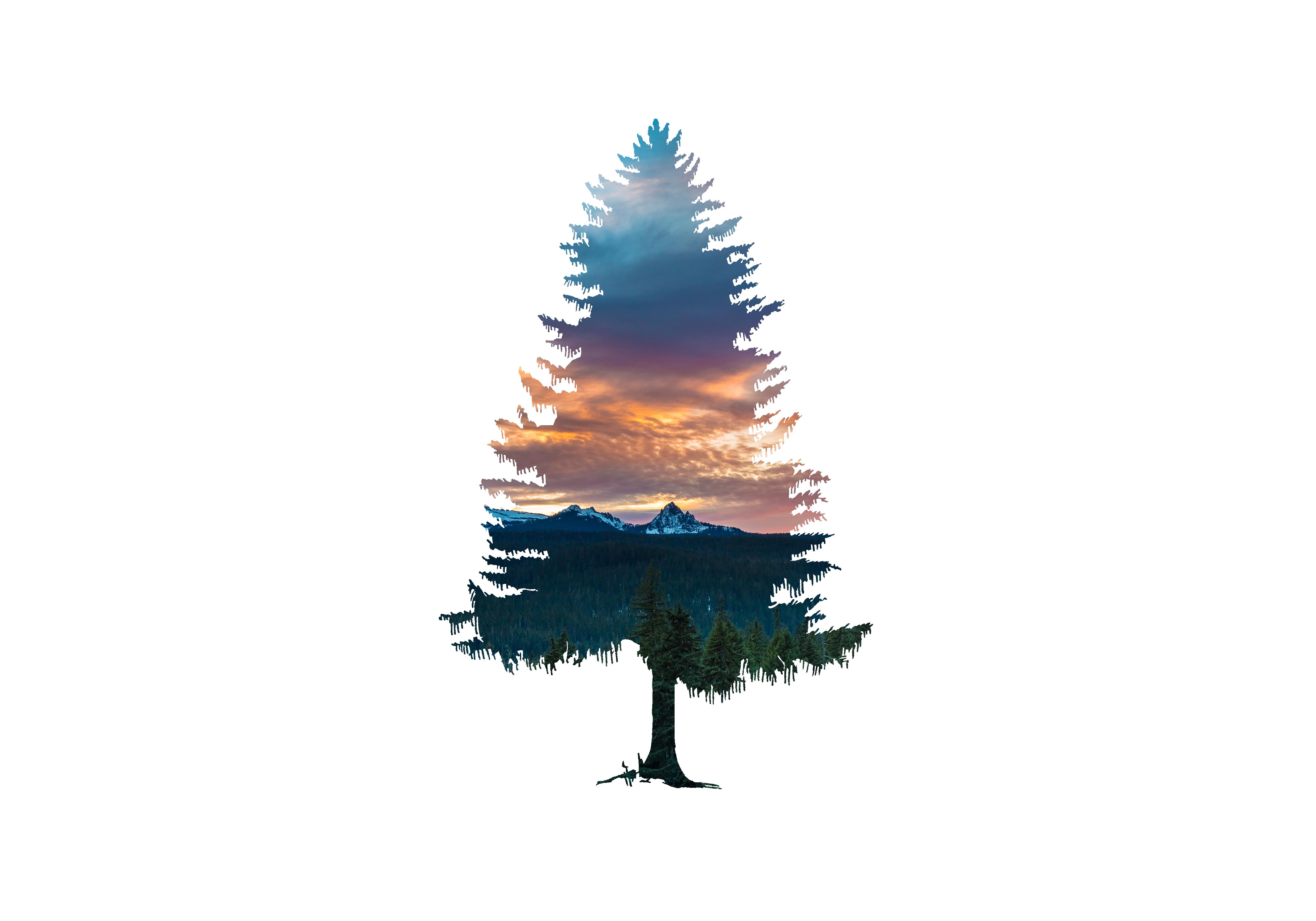 What Would This Type Of Wallpaper Be Called? I Love The Silhouette Like Tree Cut Out And Want To Know How To Find More [2560x1440p]