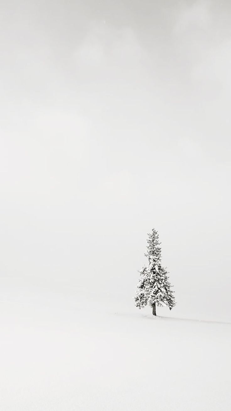 Best Minimalist Wallpaper For Your Phones
