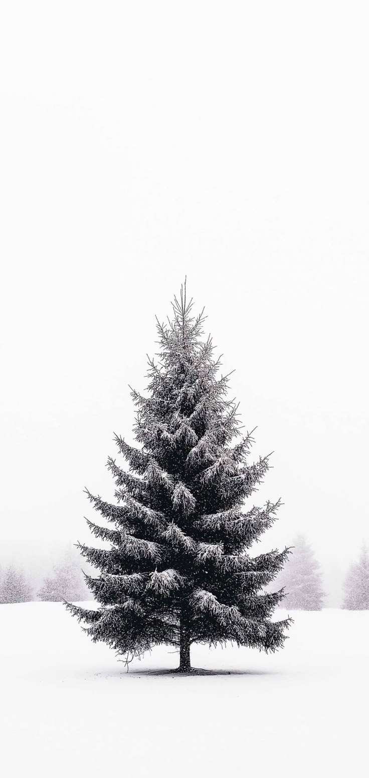 Minimalist Christmas Wallpaper To Deck Your iPhone With Simplicity