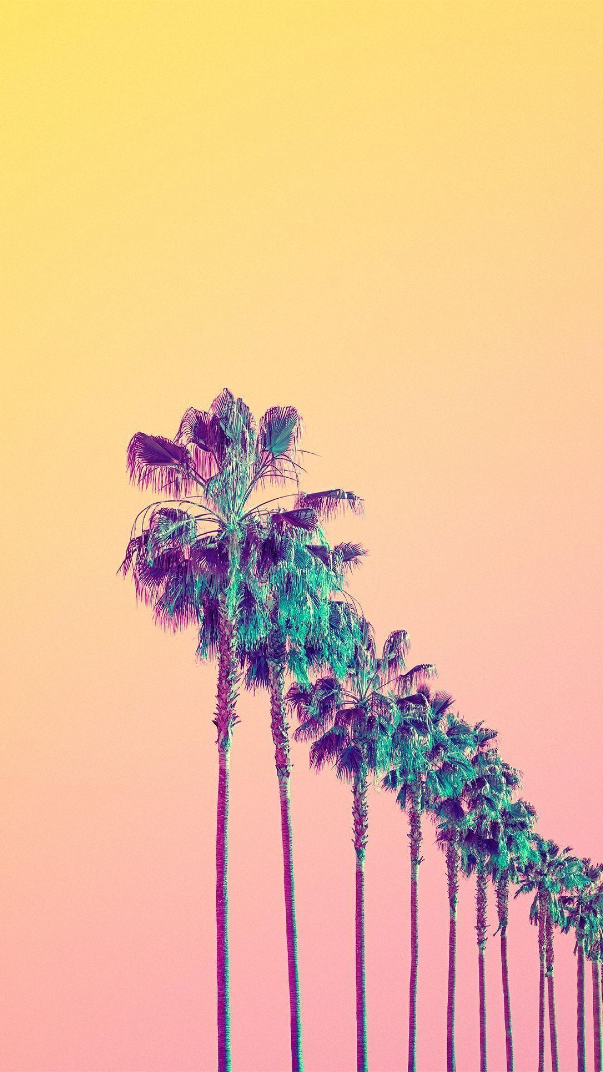 Most Popular Minimal Palm Trees Wallpaper