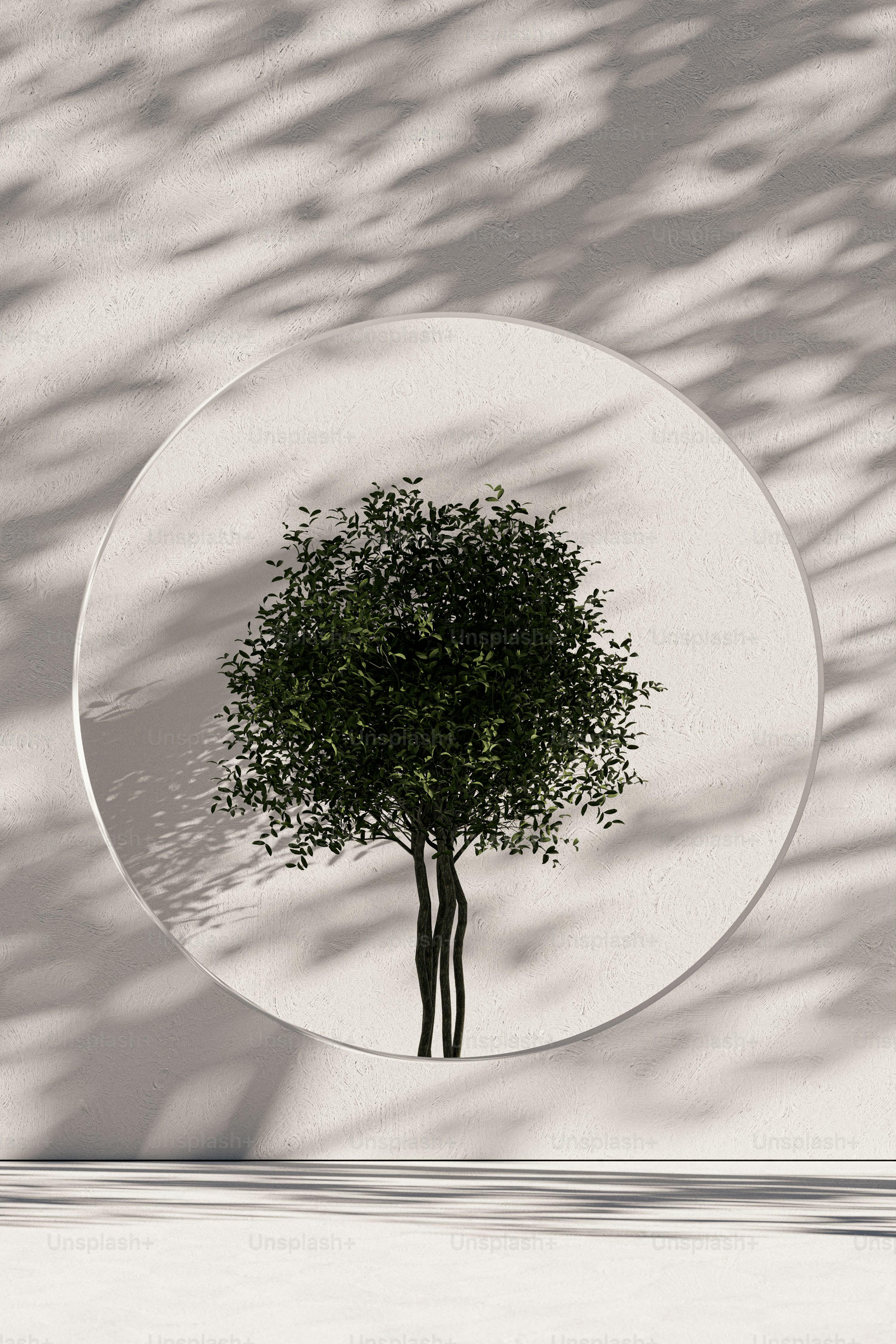 Minimal Nature Picture. Download Free Image