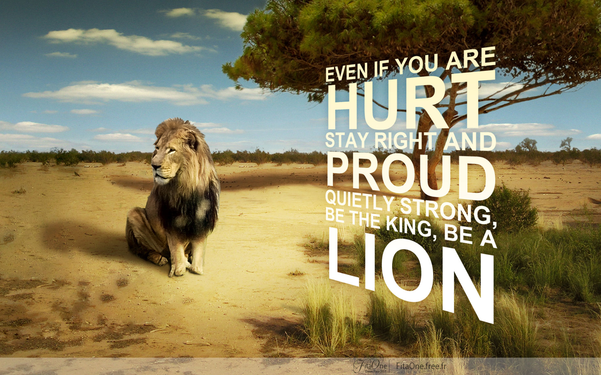 Lion's Pride: Inspiring HD Wallpaper Quote