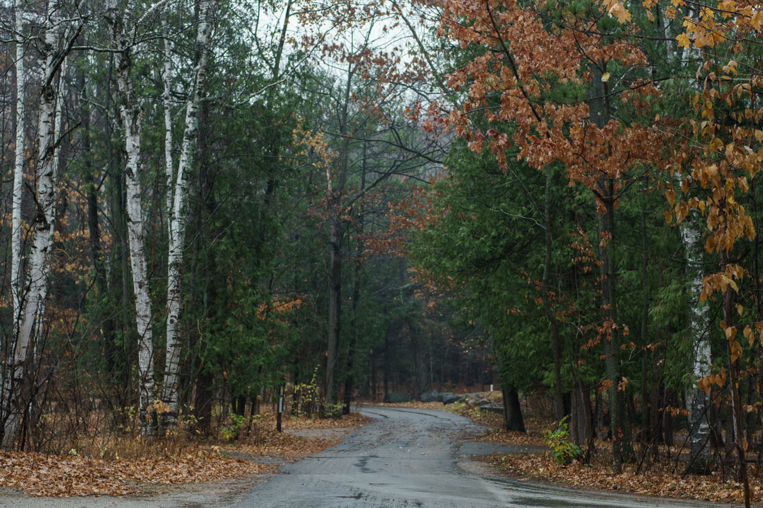 Door County in the November Rain