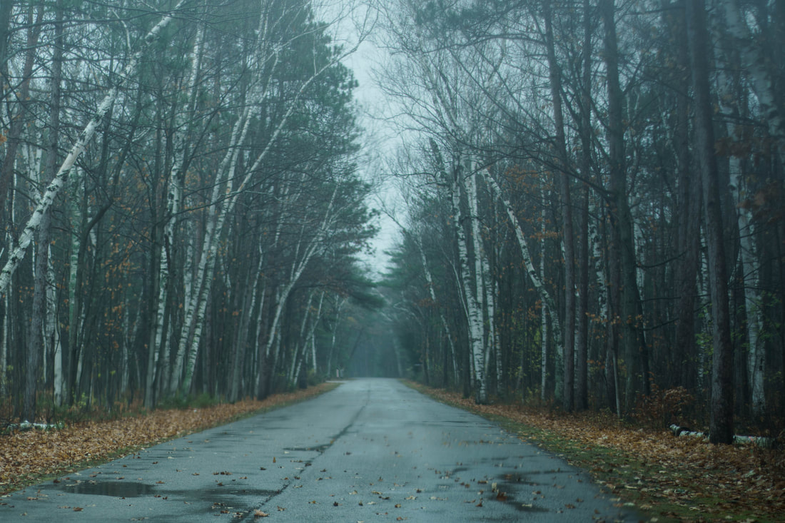 Door County in the November Rain