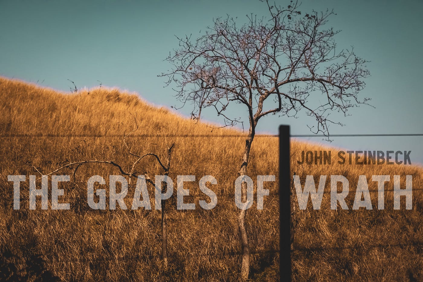 Review. The Grapes of Wrath. Reading Steinbeck is probably not a. by Ede A Hamid. The Buku Project