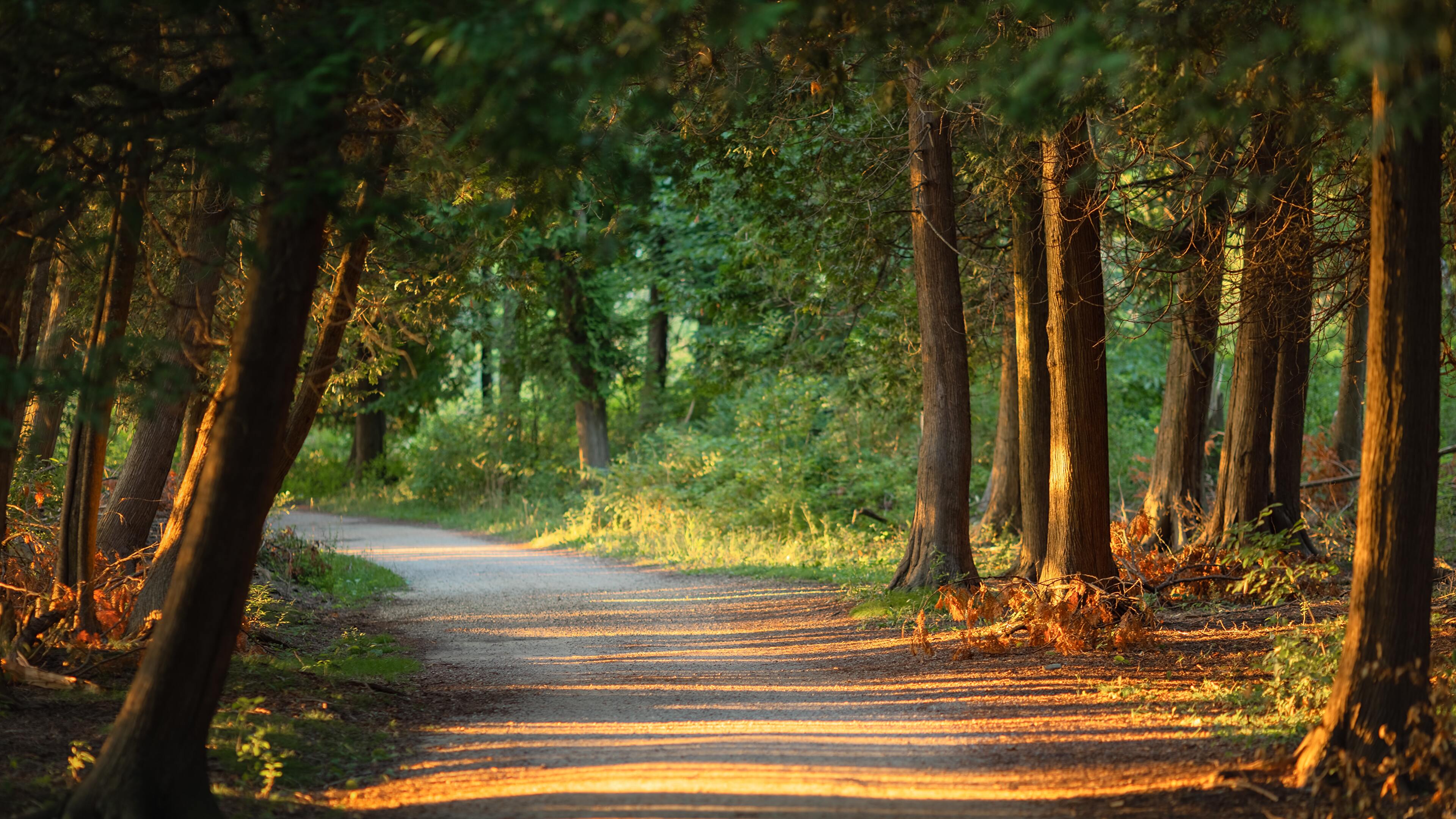Wisconsin Wallpaper, HD Wisconsin Background on WallpaperBat