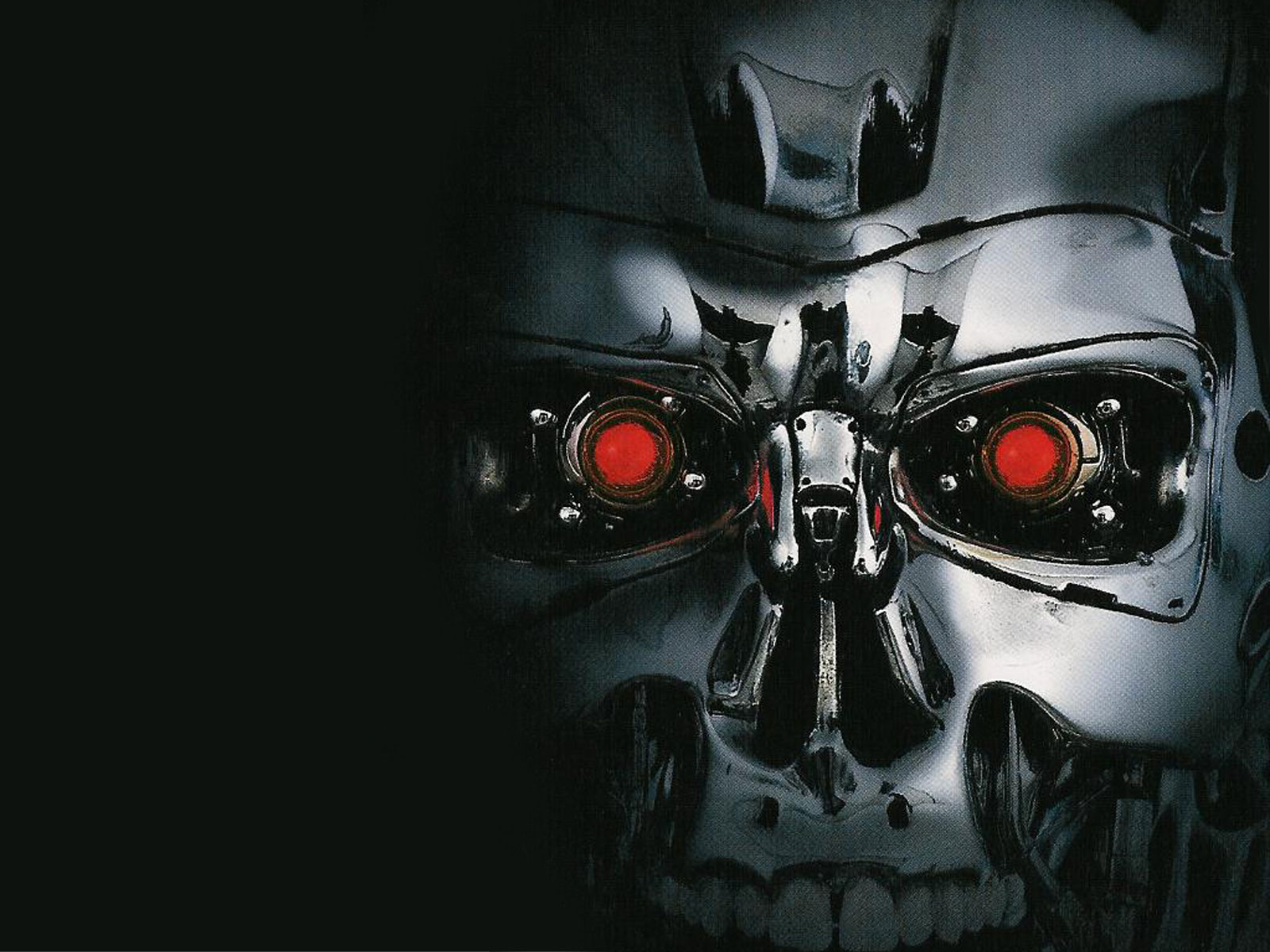 Lingering Terminator Endoskeleton wallpaper, where Terminator scope our your icons, protecting them from harm (except maybe Skynet virus)