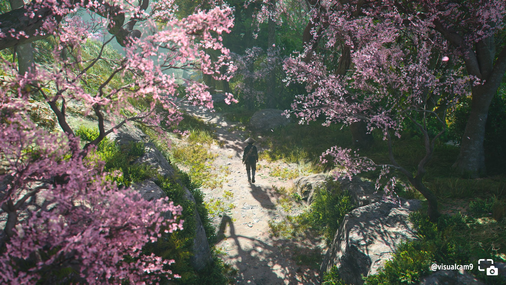 Share of the Week: Assassin's Creed Shadows