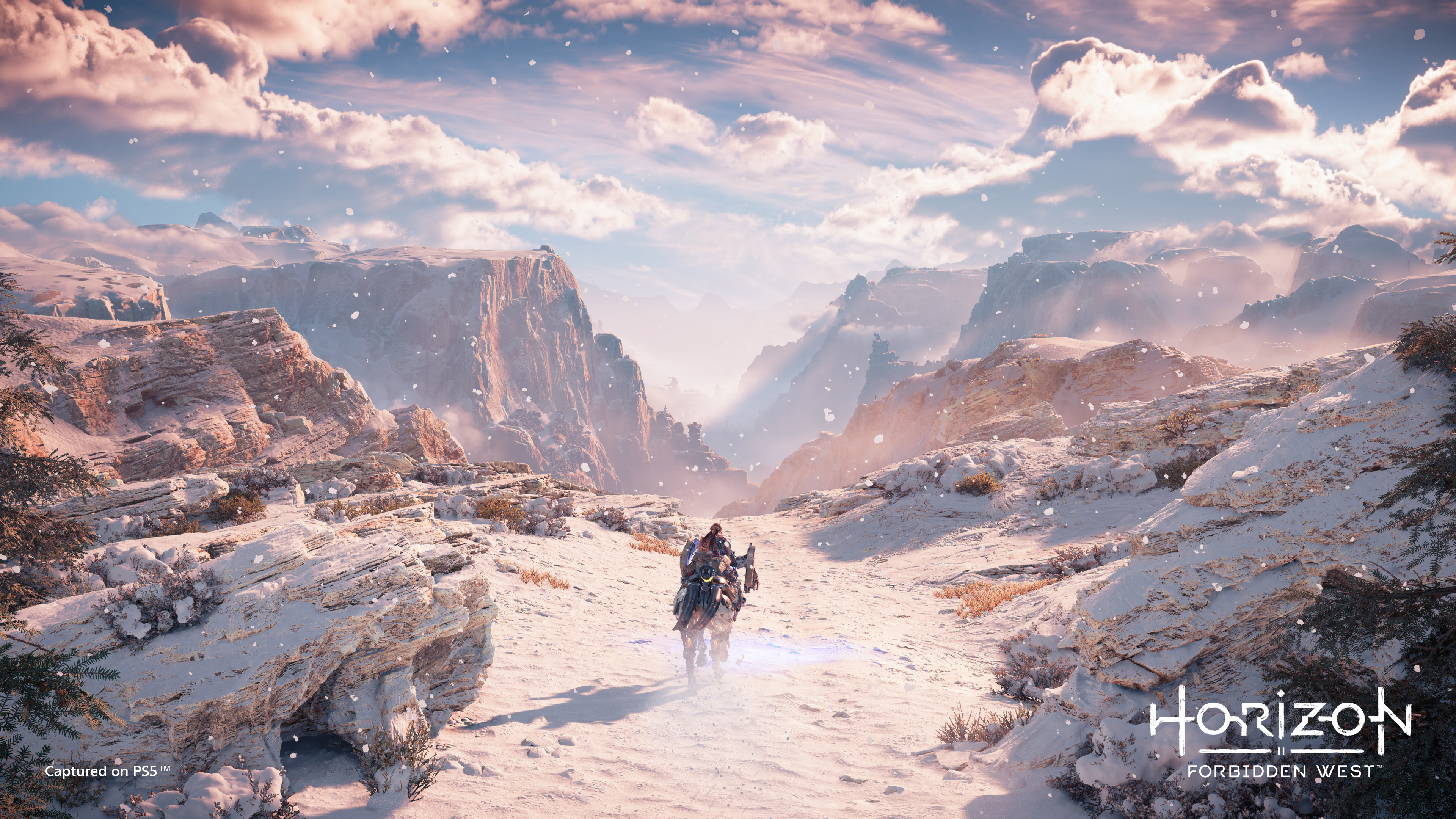 Aloy's Epic Journey: Horizon Forbidden West 4K Ultra HD Adventure Wallpaper