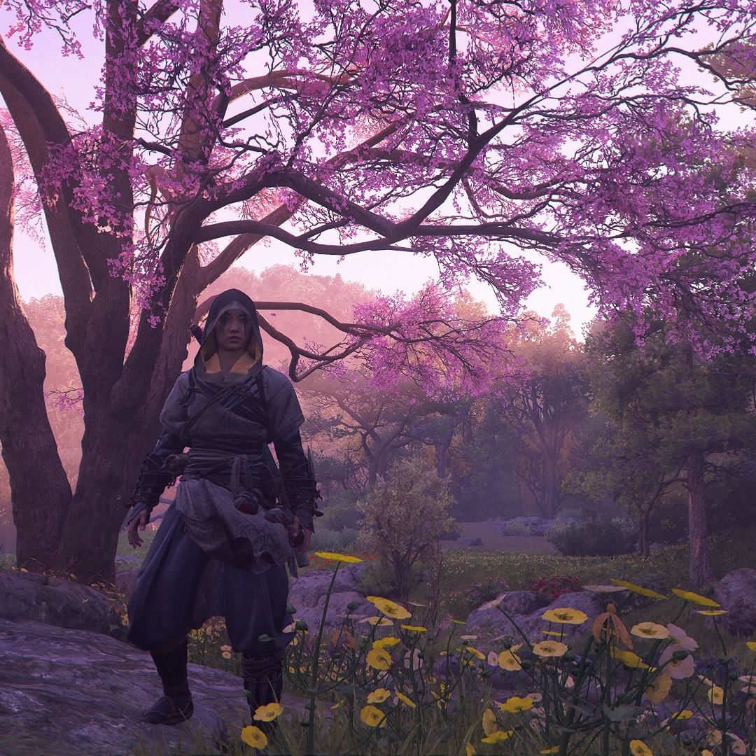 PSA: Clear out your storage space, because Assassin's Creed Shadows' world is so pretty you'll be taking screenshots for days