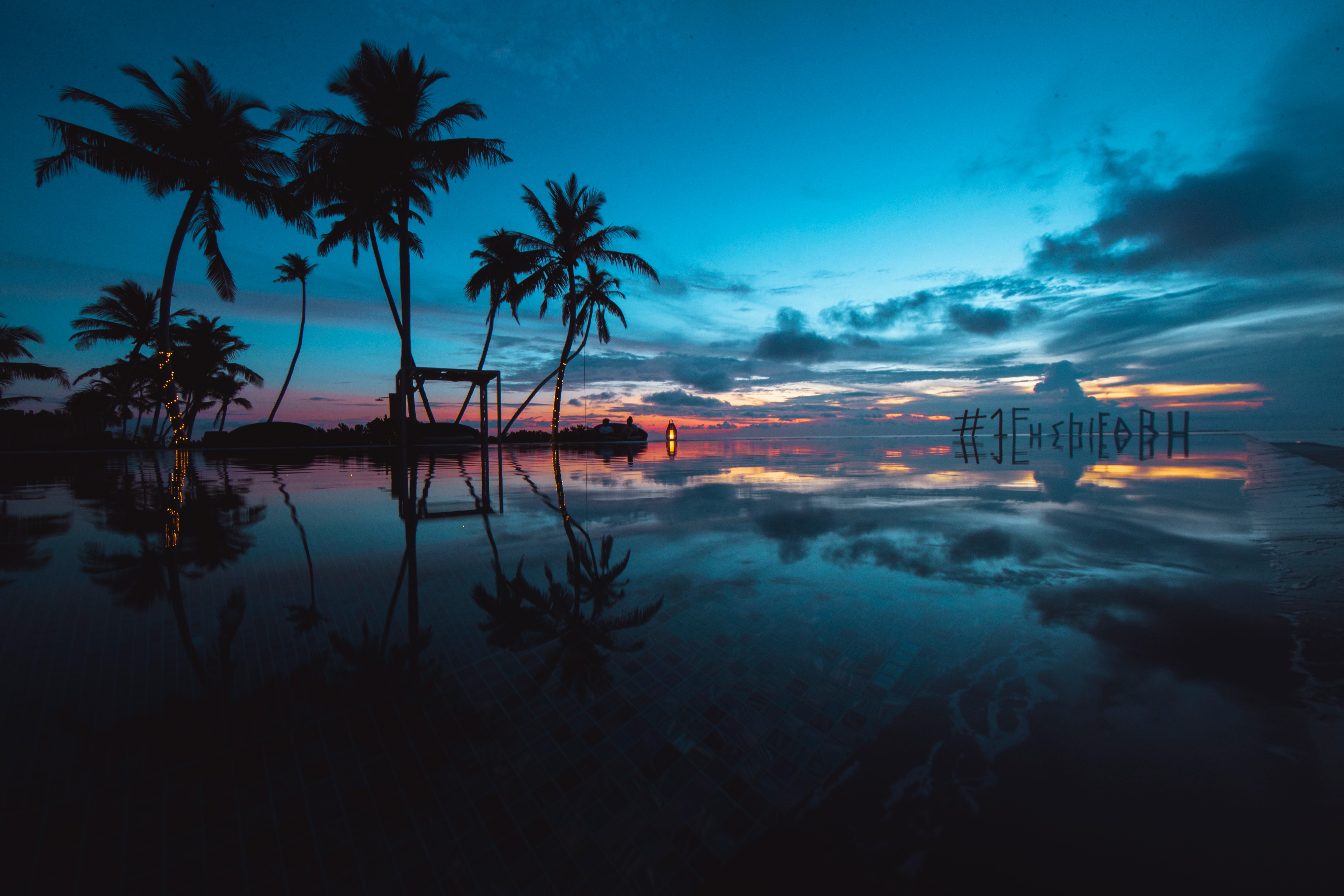 Download wallpaper 5472x3648 palm trees, sunset, ocean, evening, tropics HD background