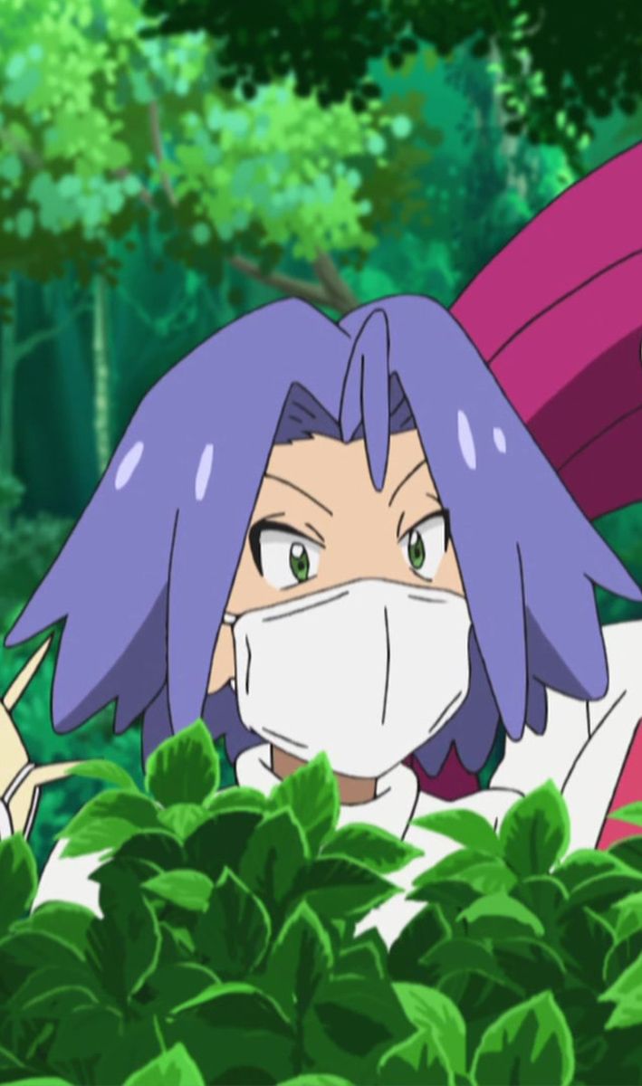 james. Equipo rocket pokemon, Pokemon personajes, Equipo rocket