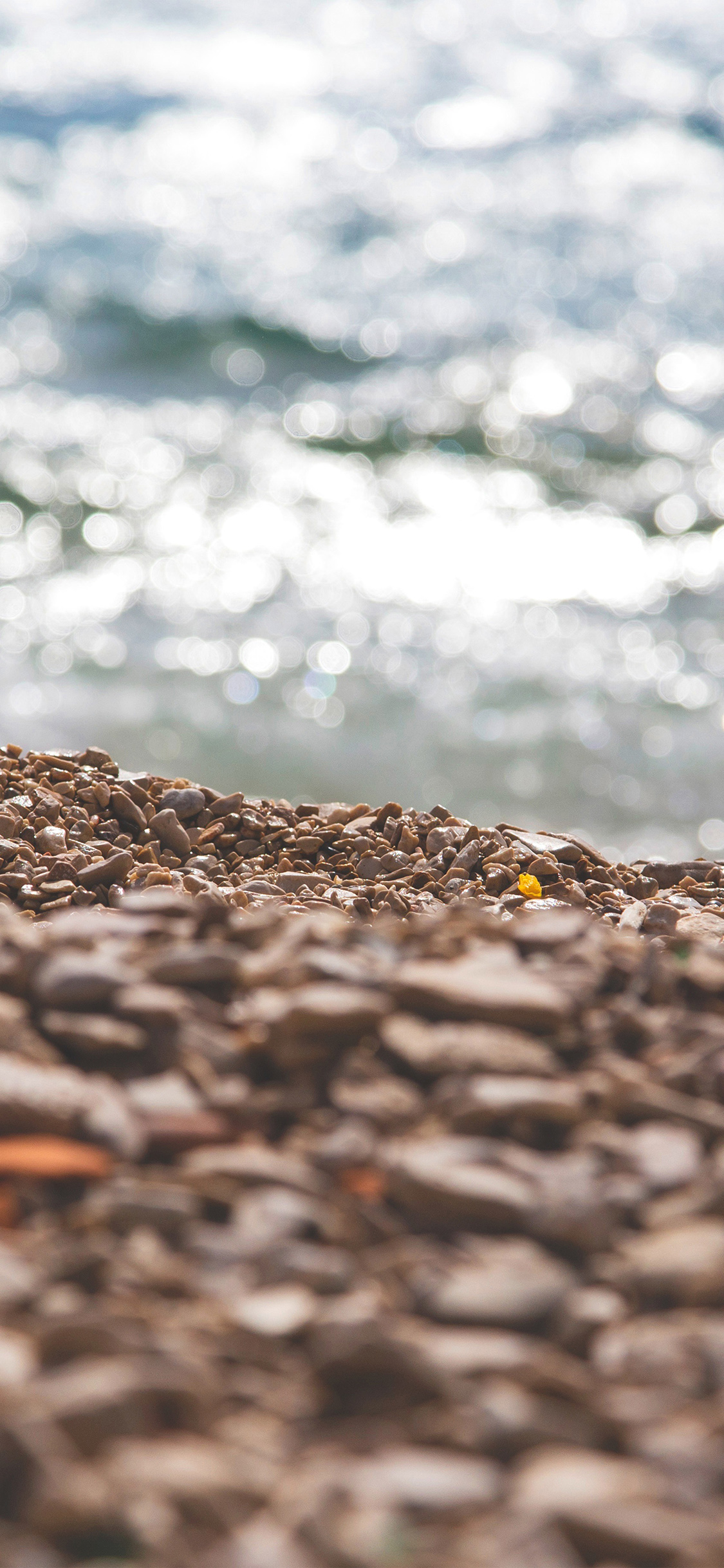 beach sea summer nature