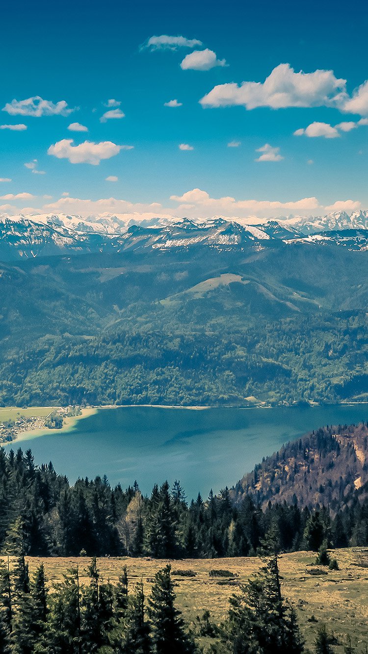 iPhone 6 wallpaper. mountain forest summer nature