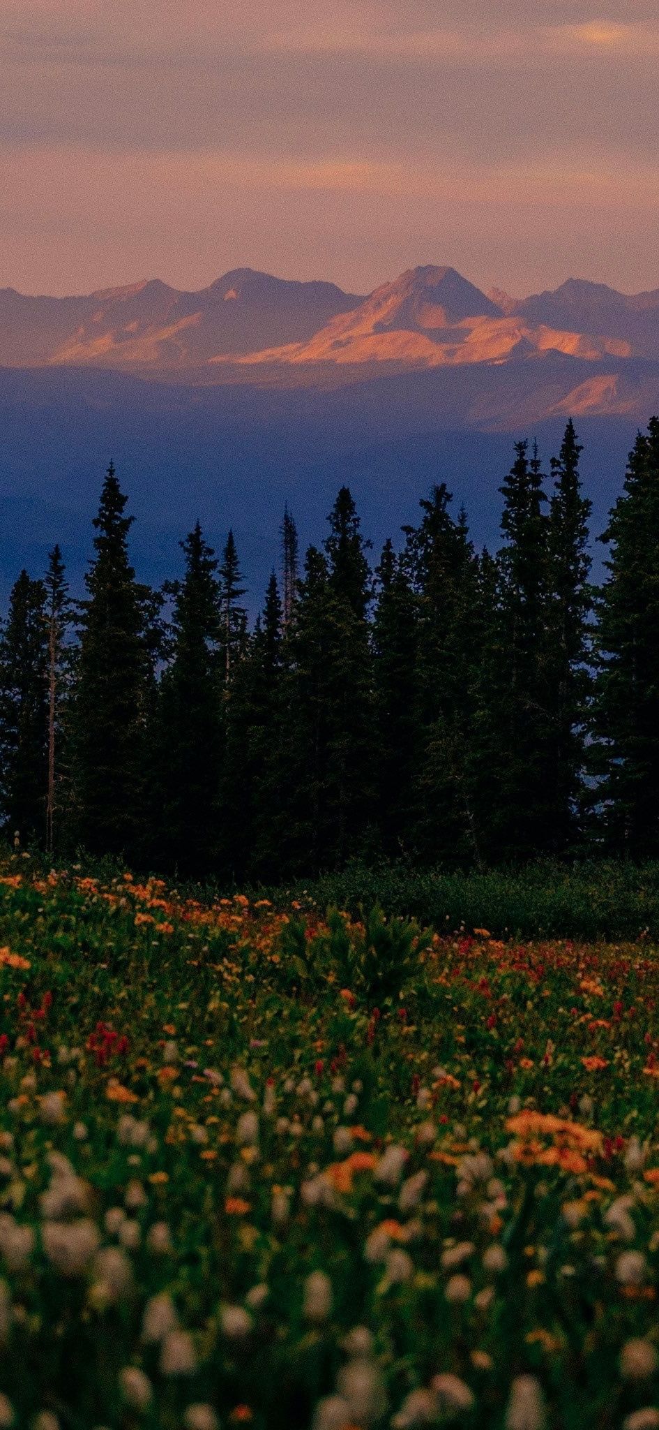 Aesthetic Wallpaper iPhone 4k