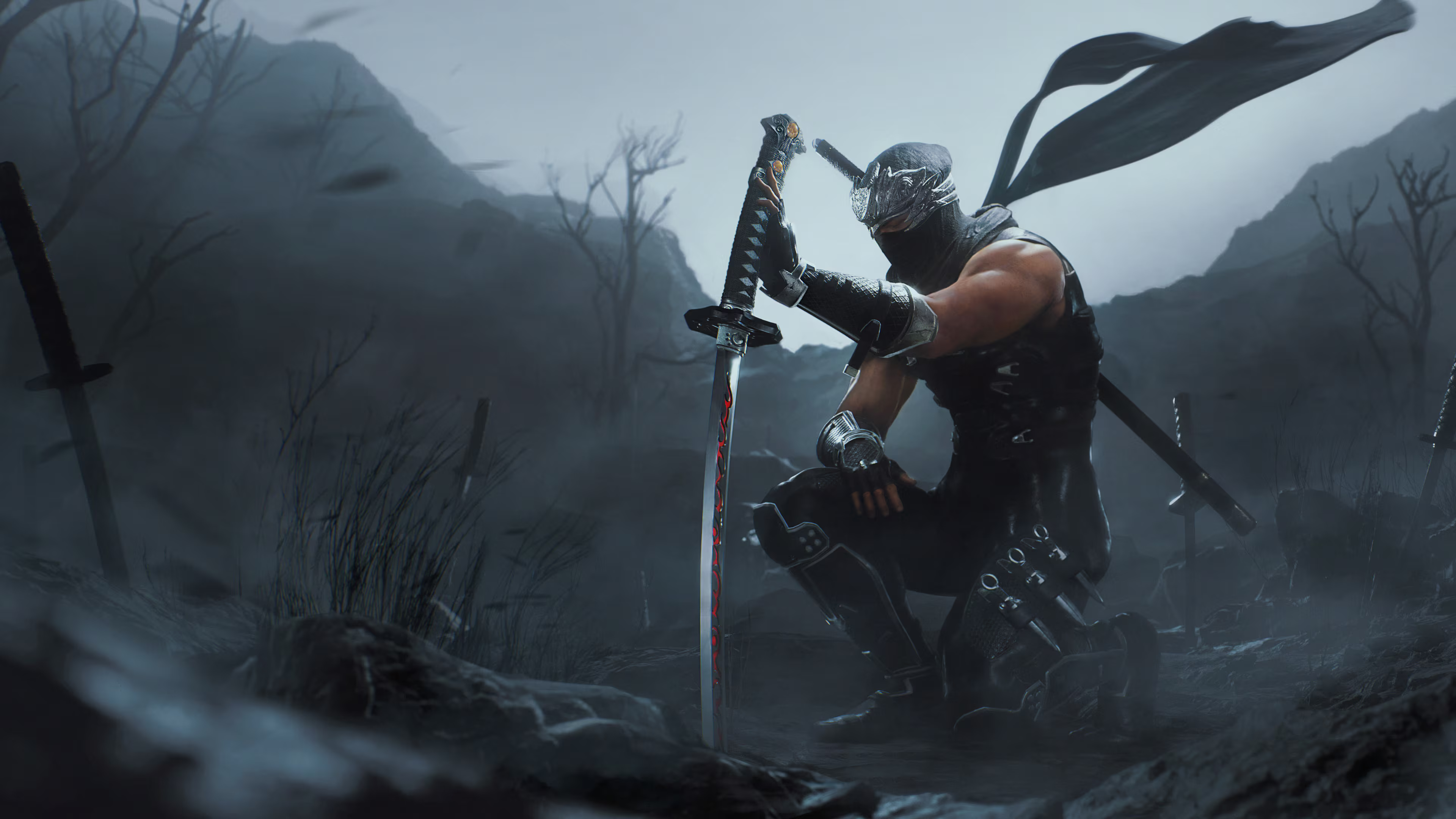 4K High Res Wallpaper for NB2B & NG4