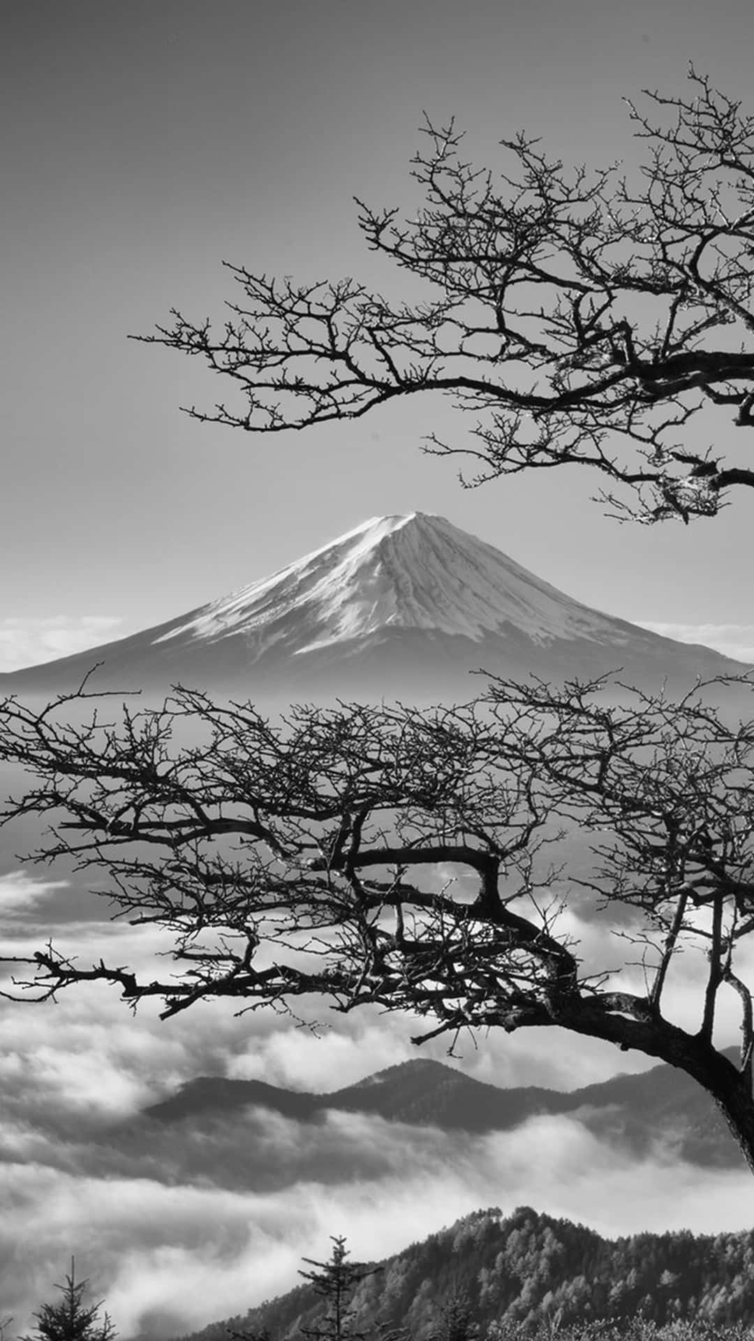 Download Serene Japanese Landscape in Black and White Wallpaper