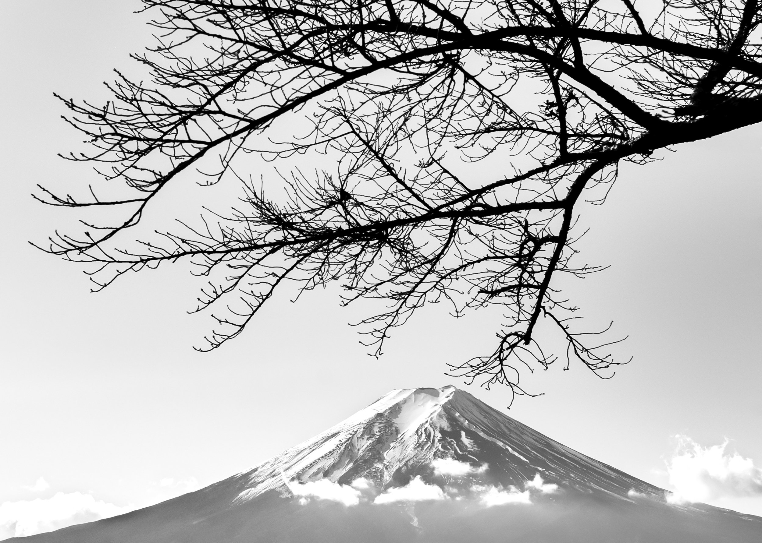 Postcard from Japan Fuji