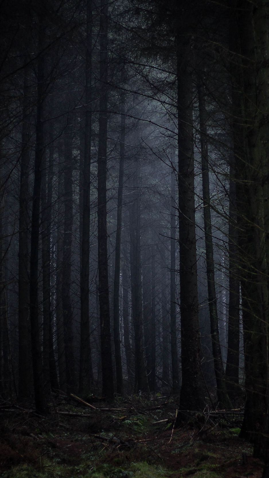 Download Wallpaper 938x1668 Forest, Fog, Dark, Trees, Gloomy Iphone 8 7 6s 6 For Parallax HD Background