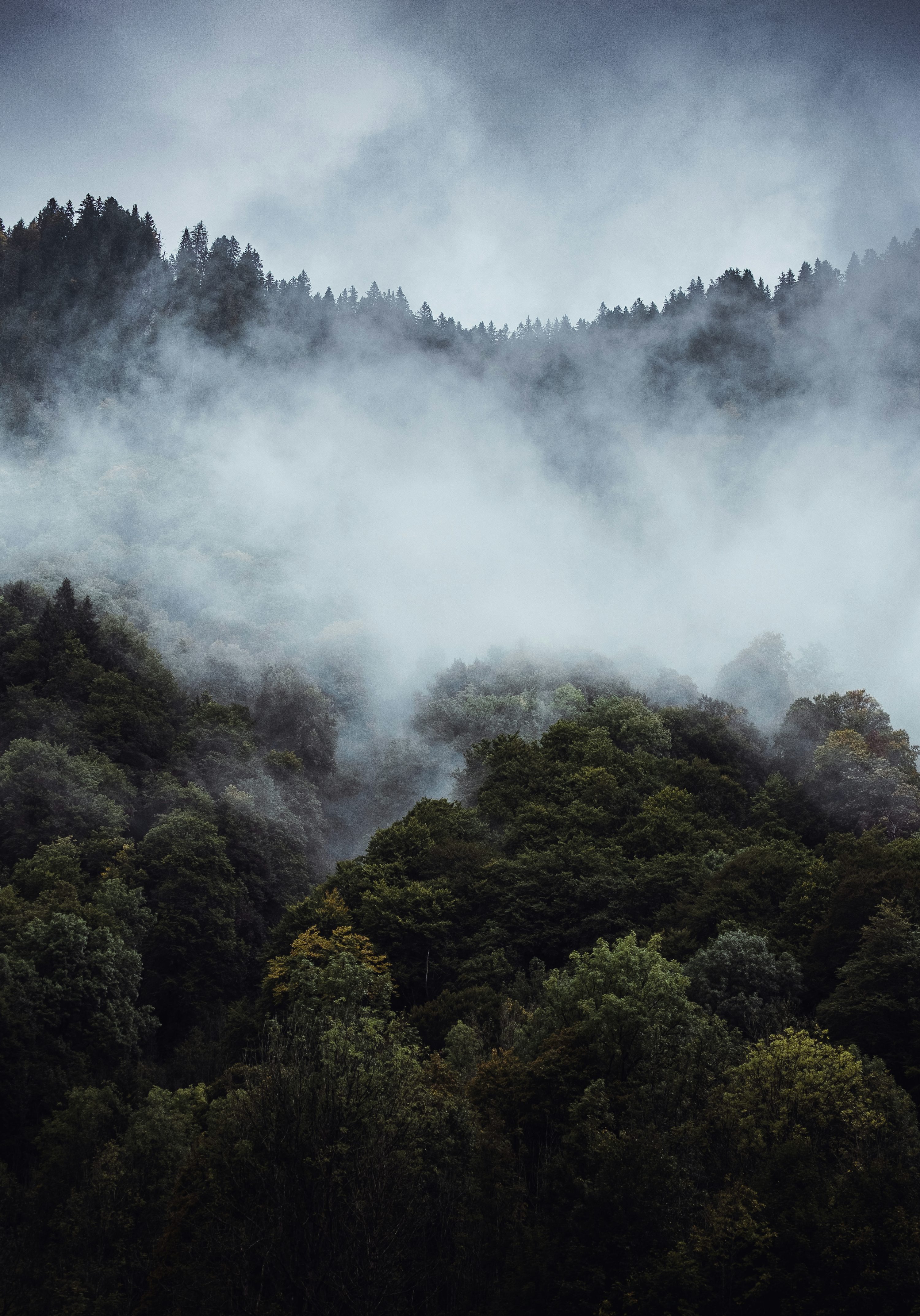 A mountain covered in fog with trees in the foreground photo