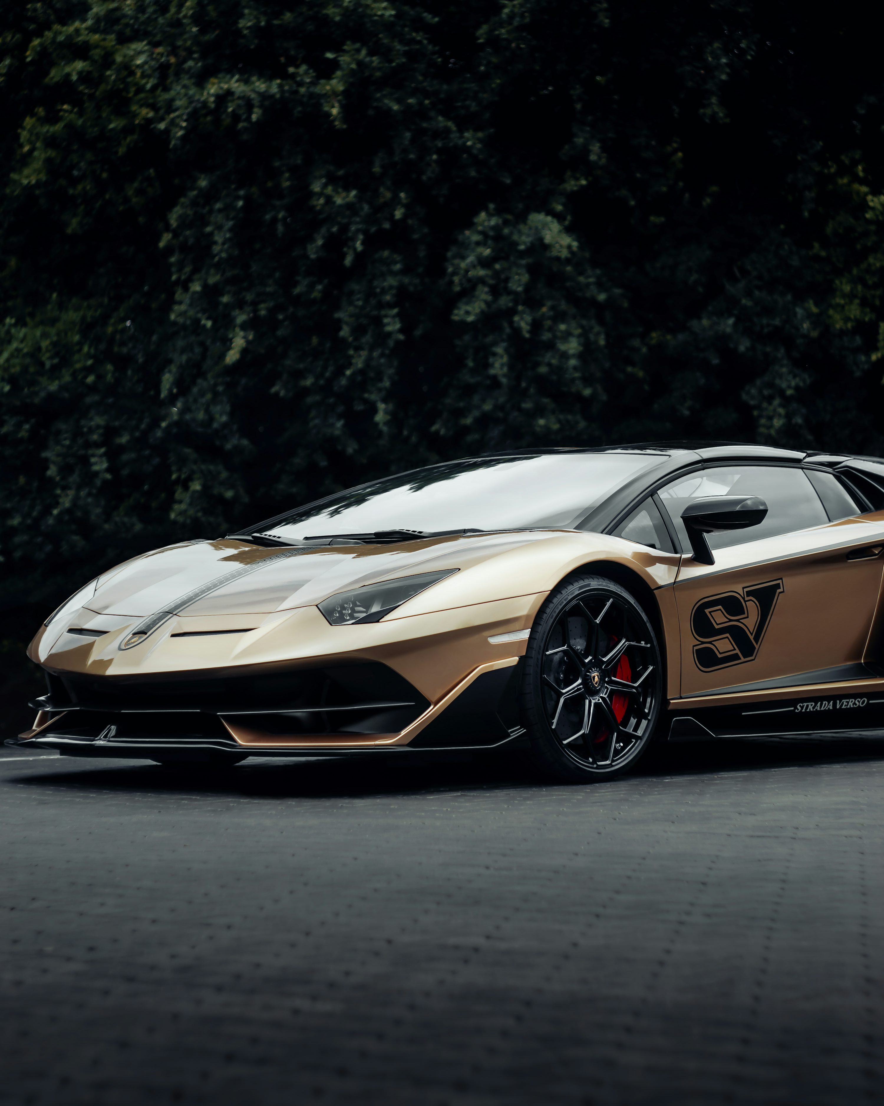 30,Lamborghini Svj Picture. Download Free Image